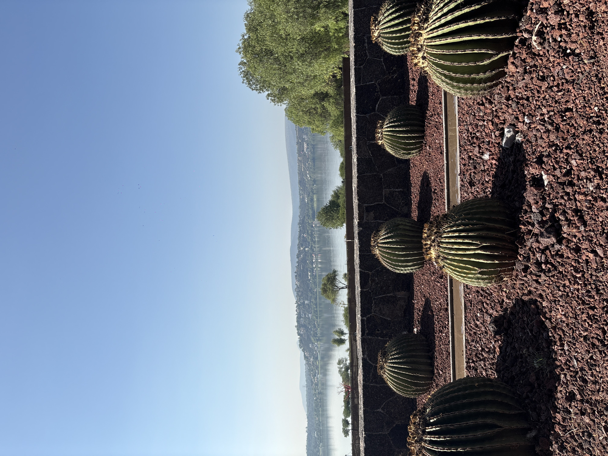 The image presents a view in Pueblo Nuevo de Jasso, Mexico, featuring a lineup of cacti along a retaining wall.
In the foreground, a series of round, ridged cacti are planted in reddish-brown gravel adjacent to a wall constructed from dark, irregularly shaped stones.
Beyond the wall, a body of water stretches into the distance, reflecting a muted, pale sky. The opposite shore is lined with buildings and trees, giving the impression of a populated area nestled in the surrounding hills.
The sky is a gradient of light blue, clearest at the top of the image. Trees are visible at the top, adding greenery.