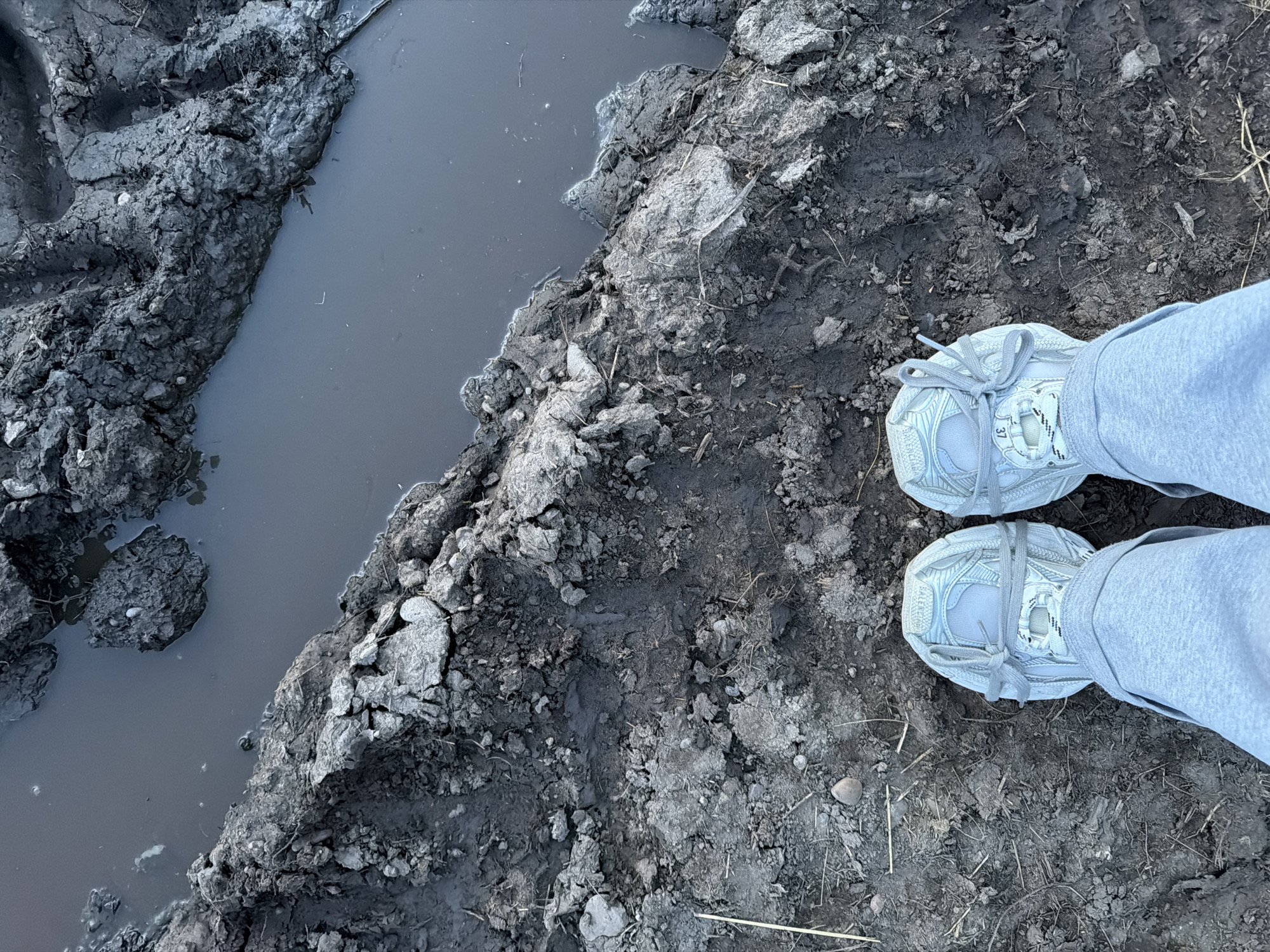 The image depicts a muddy area, potentially a field or construction site, adjacent to a body of stagnant water. Footprints and tire tracks are visible in the mud, indicating recent activity. A person wearing light-colored athletic shoes and gray sweatpants stands near the edge of the muddy area. The background is blurred, suggesting a shallow depth of field. Based on the prompt, the location is Dodonovo, Russia, but there are no contextual elements that can confirm it.