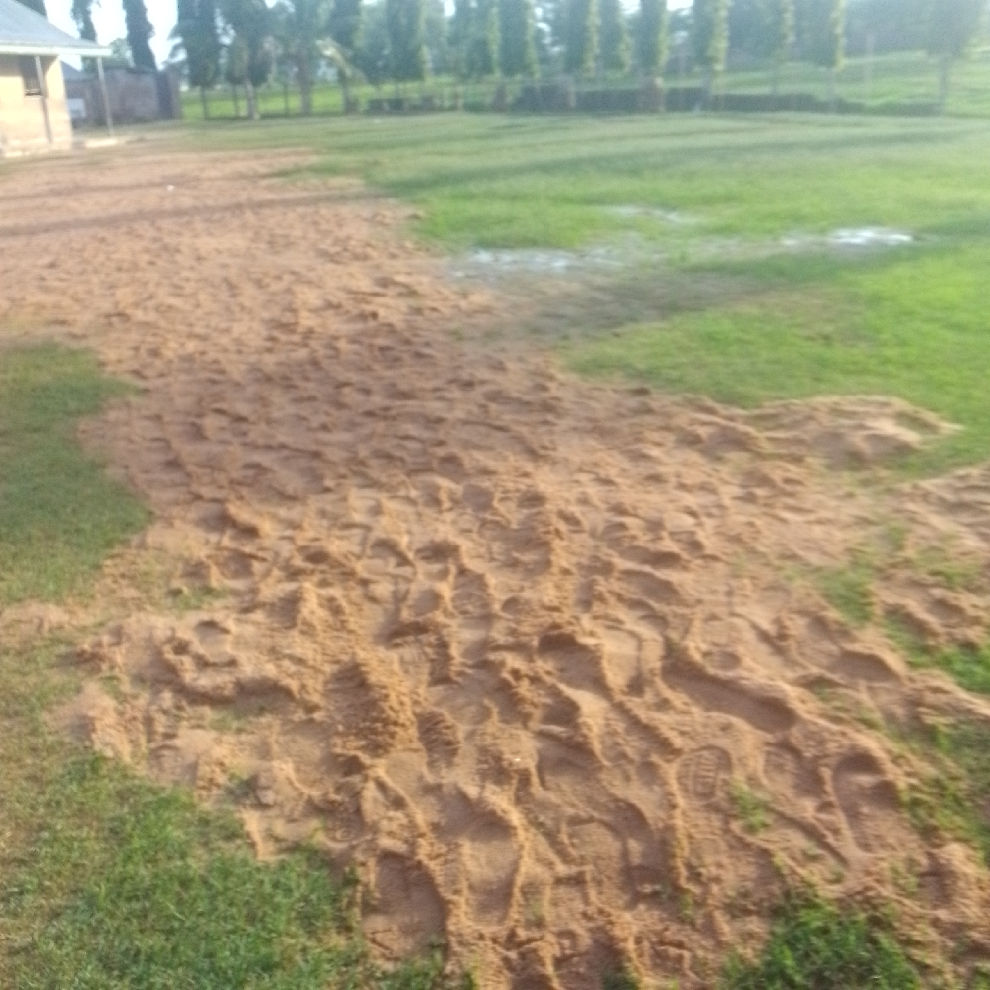 The image depicts an outdoor scene with a large patch of sand in the foreground, covering what appears to be a grassy area. The sand is disturbed, showing numerous footprints, suggesting recent human activity. To the left, a building with a light-colored roof and a single window is partially visible. Behind the building and the sandy area, there is a line of trees, some of which are tall and slender, interspersed with shorter vegetation. The ground in the background is covered in green grass, with some damp or darker patches indicating recent watering or rain. The overall impression is of an open, undeveloped area, possibly a schoolyard or a communal space. The lighting suggests it might be morning or late afternoon. There is no visible text in the image.