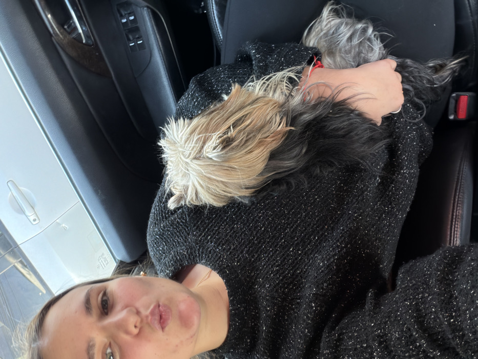 The image is a selfie taken in a car, presented in a portrait orientation and rotated 90 degrees counter-clockwise. It features a person, likely a young to middle-aged woman, and a small dog nestled on her lap or chest.
The person is visible from the chest up, with her head tilted towards the left side of the frame (as if upright). She has light brown or blonde hair, partially visible around her face. Her lips are pursed, forming a playful "kissing" or "pouty" expression. She wears a dark, possibly black, long-sleeved knitted sweater that appears to have sparkling or metallic threads woven into it, giving it a flecked appearance. A small, gold-colored earring is visible in her right ear (left side of the image).
Resting comfortably on the person's torso, specifically on her sweater, is a small, long-haired dog. The dog's fur is multi-colored; its head and facial area are primarily blonde or light brown, transitioning to a mix of grey and black fur across its body. A hint of a red collar or leash attachment can be seen around its neck. The dog appears to be relaxed, with its head resting on the person, seemingly looking away from the camera.
The setting is the interior of a car. To the left side of the frame (upper part if upright), a light-colored car door panel is visible, featuring a white or light grey door handle. Further in, a darker trim piece and a set of black window control buttons are discernible on the car's interior. The car seat, behind the person and dog, is dark, likely black or charcoal, with visible stitching. Bright light from outside the car is reflected on the door panel, suggesting it is daytime. The overall mood conveyed is one of affection and comfort between the owner and her pet. No visible text is present in the image.