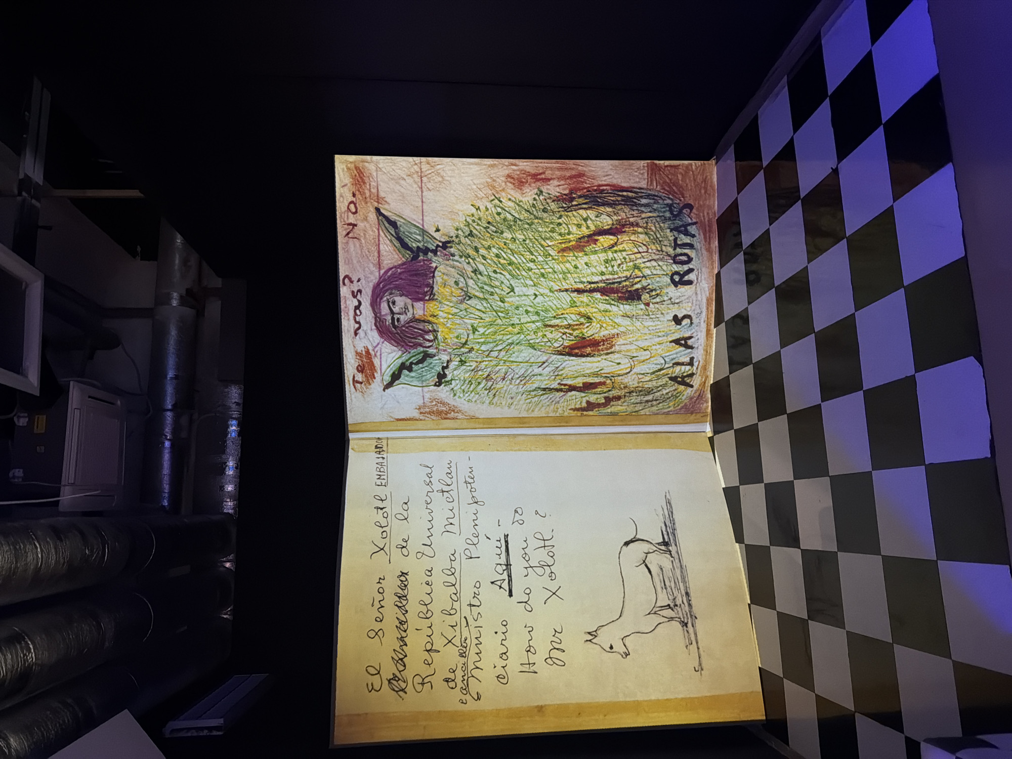 This media file shows a close-up, angled view of an open book with a checkered floor in the background. The left page of the book features a drawing with text. The drawing appears to be a portrait of a person with purple hair and green accents, surrounded by what looks like grass or hay. Text above and to the left of the drawing reads "Te vas? No." and "ALAS ROTAS" is written vertically to the right of the drawing.
The right page of the book has a more detailed drawing of a dog or coyote-like animal with its tail raised, drawn in black ink. Below this drawing, there is handwritten text in cursive. The visible text on this page includes "El Señor Xolote EMBAJADO de de la República Universal de Xibalba Mietlan & Ministro Plenipotenu. diario Aquí - How do you do Mr Xolotl?".
The setting appears to be indoors, possibly an art installation or exhibition, given the black background and the checkered floor which seems to be illuminated by purple and blue lighting. The overall mood is artistic and perhaps a bit mysterious due to the hand-drawn nature of the content and the lighting. There are also some industrial-looking pipes visible in the dark background on the left side of the image.