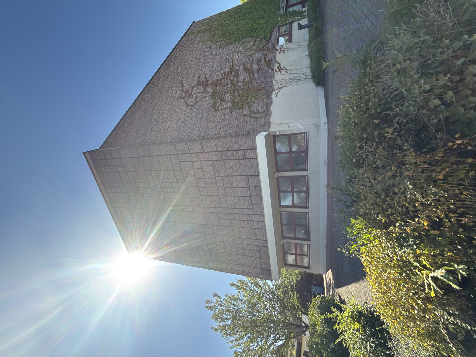 This is a low-angle, eye-level, full exterior, landscape shot of a modern building in Bad Sachsa, Germany. The building has a large, brick-patterned facade that tapers to a peak at the top, with a lighter-colored base. Vine growth is visible on the right side of the facade. Below the upper facade are a series of windows with dark frames. The foreground is filled with lush green bushes and foliage, with a paved walkway leading towards the building. A tree with light green leaves is situated to the left of the building, and a blue trash bin is visible behind it. The sky is clear and bright blue, with a strong sunburst emanating from the upper left quadrant of the image. The lighting suggests it is daytime, with the sun casting shadows.
