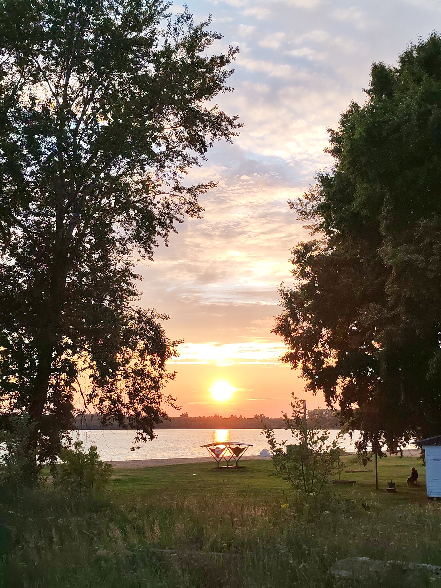 This image depicts a serene sunset over a body of water, possibly a lake or river, as viewed from a grassy area with trees. The sun, a bright orb of light, is low on the horizon, casting a warm glow across the sky and reflecting on the water. The sky is filled with a mix of clouds, some tinged with orange and pink hues from the setting sun. Two large trees frame the scene, one on the left and one on the right, their dark silhouettes contrasting with the lighter sky.
In the middle ground, a body of water stretches across the width of the image. The water appears calm, with subtle ripples on its surface. A sandy shore is visible along the edge of the water. On the shore, a small, white structure, possibly a changing room or a small building, is present. There are also a few scattered objects on the grass, including what appears to be a picnic table with a red and white roof, and some white tent-like structures. A single figure is seated near the white building, facing away from the camera.
The foreground is dominated by tall, dry grass and some green vegetation. The overall impression is one of tranquility and natural beauty, typical of a sunset scene in a rural or park-like setting. The location is identified as the city of Selivanovo, Russia, suggesting this scene is part of the natural landscape in or around this Russian city.