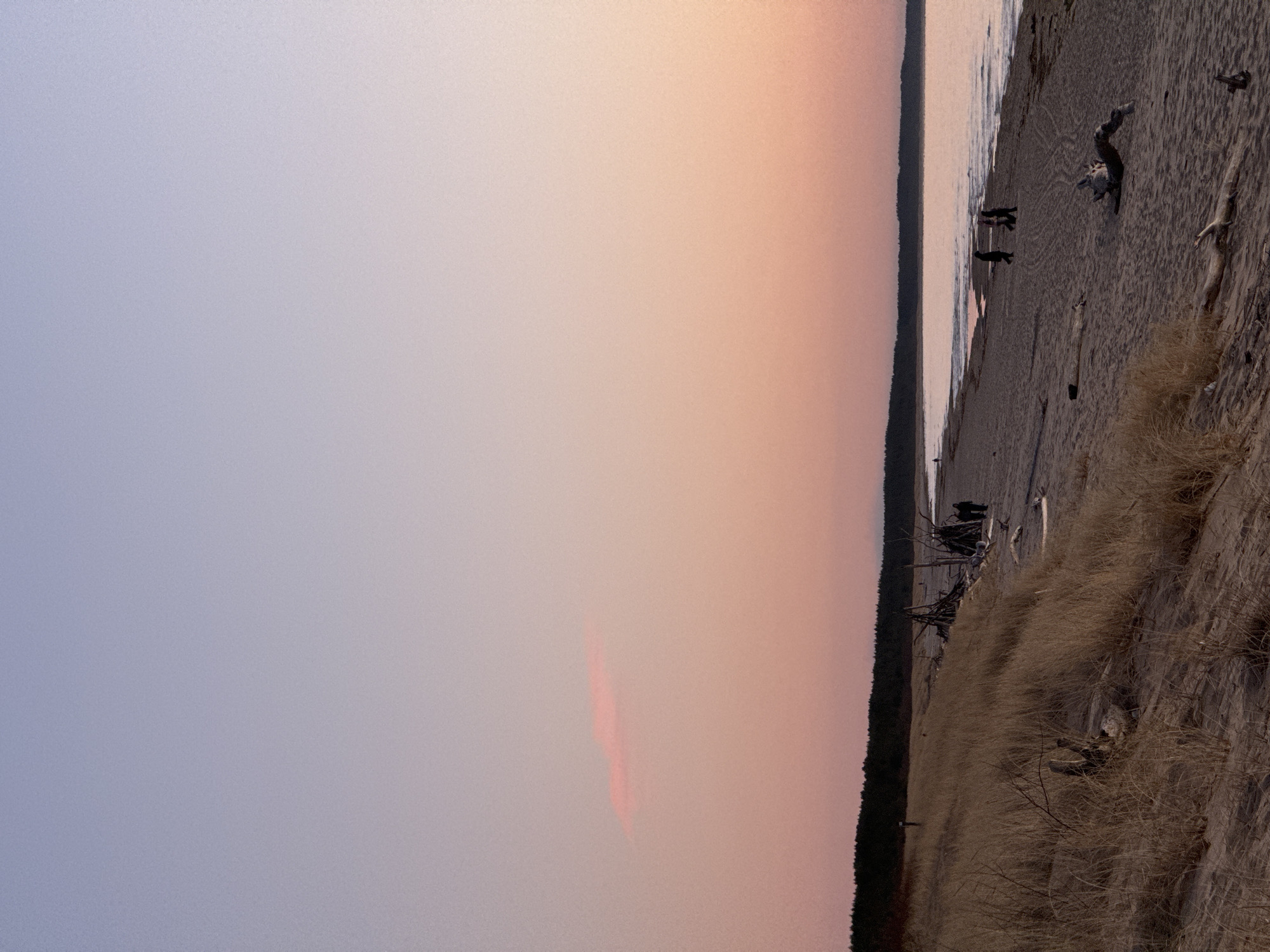 The image depicts a beach scene, likely at dusk or dawn, potentially in Garciems, Latvia. The sky transitions from a pale blue on the left to a soft orange towards the right, indicating the sun's position. A narrow body of water borders a sandy beach. Along the beach, driftwood and vegetation are visible. Several people are seen in silhouette walking along the shore. The overall impression is one of a peaceful, natural environment.