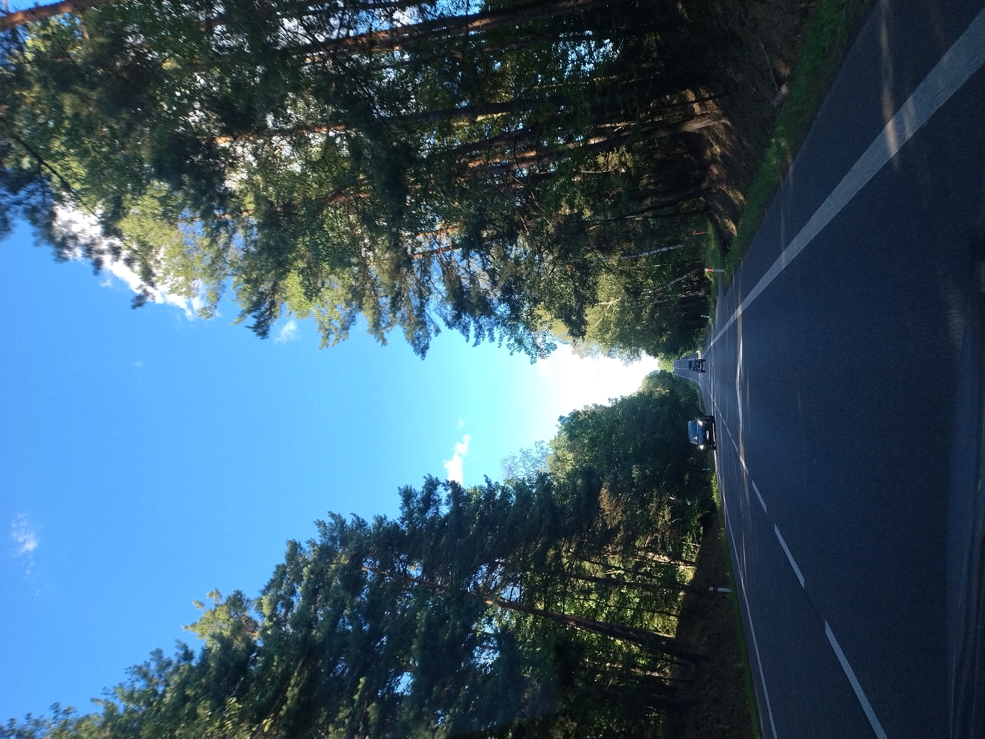 An asphalt road winds through a forest of tall coniferous trees under a clear blue sky with scattered white clouds. The road has white dashed lines marking lanes and a solid white line on the right side. Two cars are visible on the road; one black SUV is closer to the camera in the right lane, and a dark-colored car is further ahead in the left lane. The sun casts shadows through the trees onto the forest floor along the side of the road. The scene appears to be a rural or natural setting, possibly on the outskirts of a town or village.