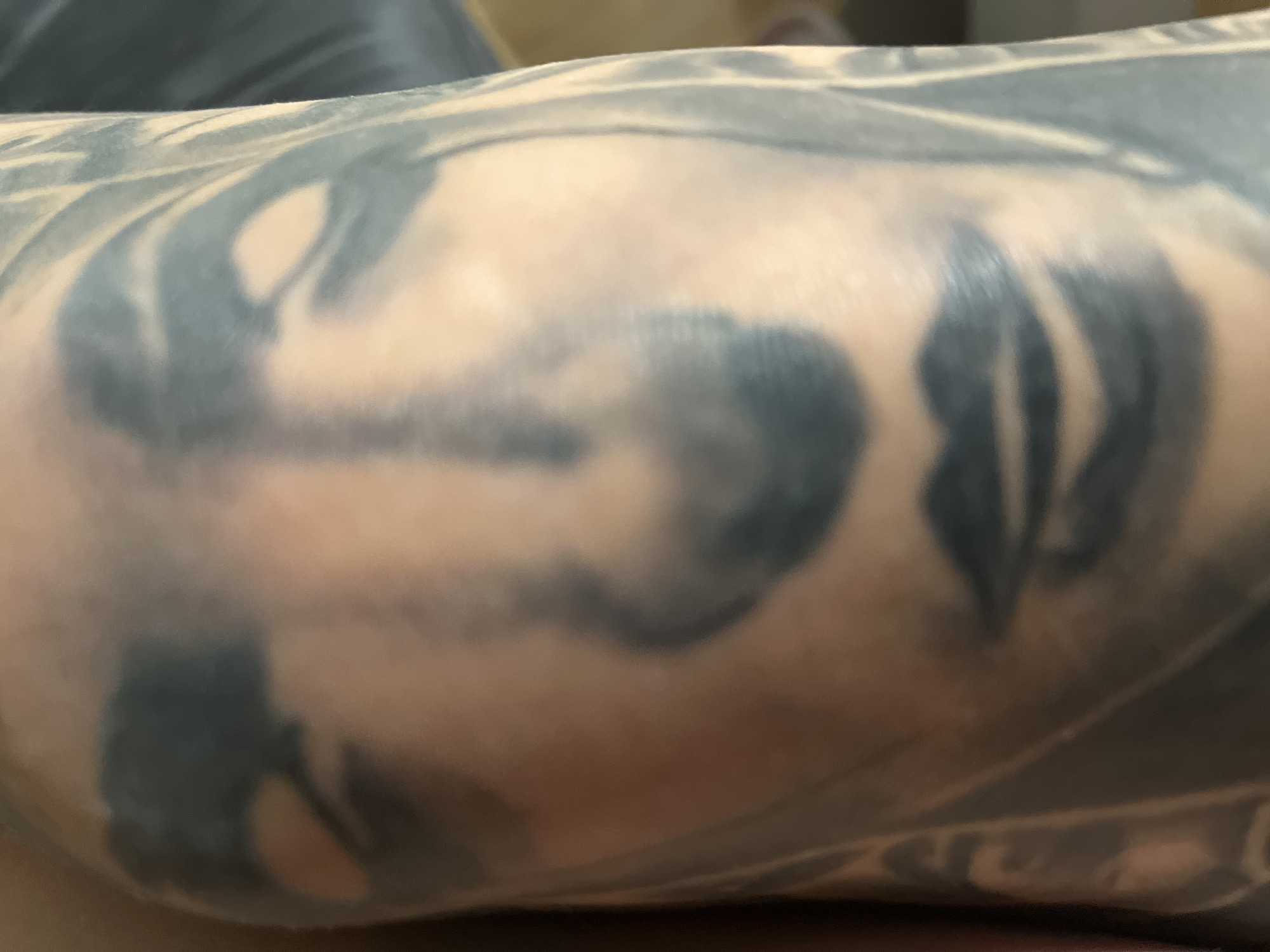 A close-up, slightly blurry photograph captures a person's arm, specifically the area around the elbow, adorned with a large, intricate tattoo. The tattoo appears to be a sleeve or a significant portion of an arm, rendered in black and grey ink with flowing, abstract, and stylized patterns. Various shades of grey and black create depth and texture within the design, which features organic shapes, possibly depicting elements like smoke, waves, or abstract figures.
The skin tone is fair, and there's a subtle reddish hue in some areas, which could be natural skin variation or a sign of recent tattooing or irritation. The arm is positioned in a way that curves out of frame, making the tattoo appear to wrap around the limb.
The background is softly blurred and indistinct, suggesting an indoor setting with possibly clothing or a soft surface behind the arm. No specific activity is depicted other than the arm being still for the photograph. There are no visible cues to determine the time of day, weather, or any explicit emotions. No text is visible within the tattoo or on the skin. The location context provided is Plovdiv, Bulgaria, though this is not discernible from the image itself.