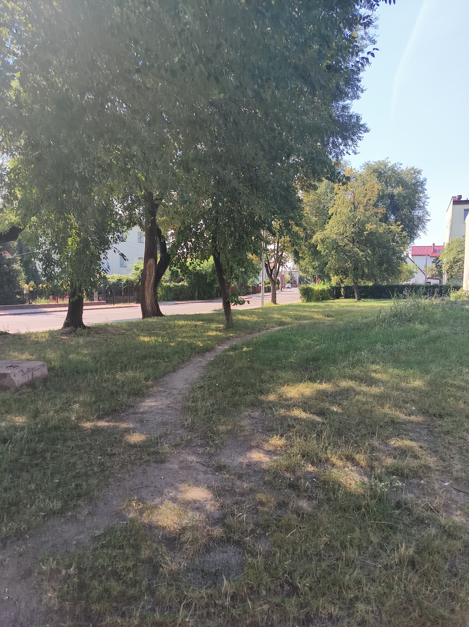 The image depicts a tree-lined street in Białystok, Poland, on a sunny day. A dirt path curves through a grassy area in the foreground, shaded by large trees with green foliage. Across the street, a sidewalk runs alongside buildings and more trees. The street appears to be moderately trafficked, with a white car visible in the distance. The overall scene suggests a peaceful urban environment with ample green space.