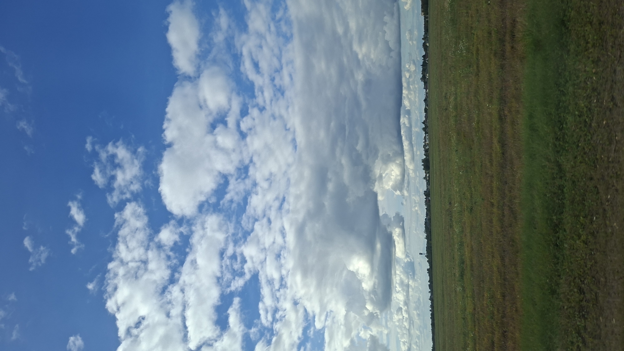 This is a vertical, eye-level, full shot of a vast, open grassland under a partly cloudy blue sky. The grassland occupies the lower half of the frame, with varied shades of green and brown. A thin strip of darker green grass runs along the bottom edge. In the distance, a flat horizon line is formed by a scattering of trees and buildings, including a water tower, suggesting a rural or semi-rural settlement. The sky dominates the upper half, with a bright blue expanse punctuated by numerous white, fluffy clouds of varying sizes and densities, some appearing wispy and others more voluminous. The lighting suggests daytime, likely late morning or early afternoon, with soft sunlight filtering through the clouds. The scene depicts a natural, open landscape.