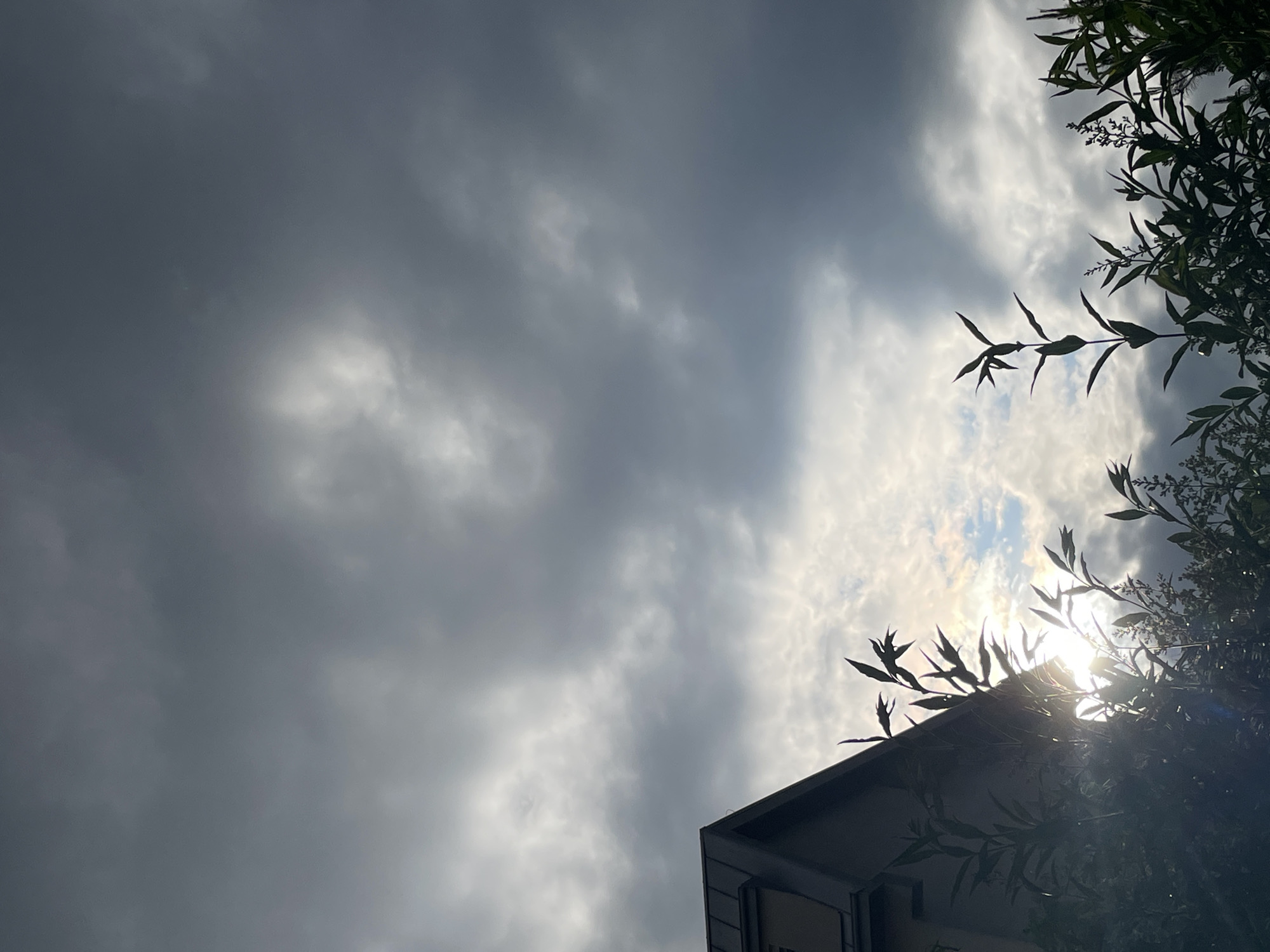 The image presents a dramatic upward view of a cloudy sky, characterized by a stark contrast between dark and light elements. The upper left quadrant is dominated by dense, grey clouds, suggesting an overcast or potentially stormy atmosphere. Towards the right and bottom, the cloud cover appears thinner and brighter, allowing a powerful burst of sunlight to penetrate, creating a strong lens flare in the bottom right corner of the frame.
Silhouetted against this bright light and the sky are dark shapes of foliage and tree branches, primarily along the right edge of the image and extending slightly into the bottom right. The distinct shapes of leaves are visible against the illuminated backdrop. Also situated in the bottom right corner, partially obscuring the intense sunlight, is a section of a building. Its sharp angles and visible roofline suggest a modern architectural style, appearing as a dark silhouette against the sky.
There are no people or specific activities depicted. The scene captures a moment of natural beauty and weather dynamics, likely during daytime, with the sun partially hidden by or breaking through significant cloud cover. No text is visible in the image. The strong backlighting and the interplay of light and shadow create a sense of depth and atmospheric tension.