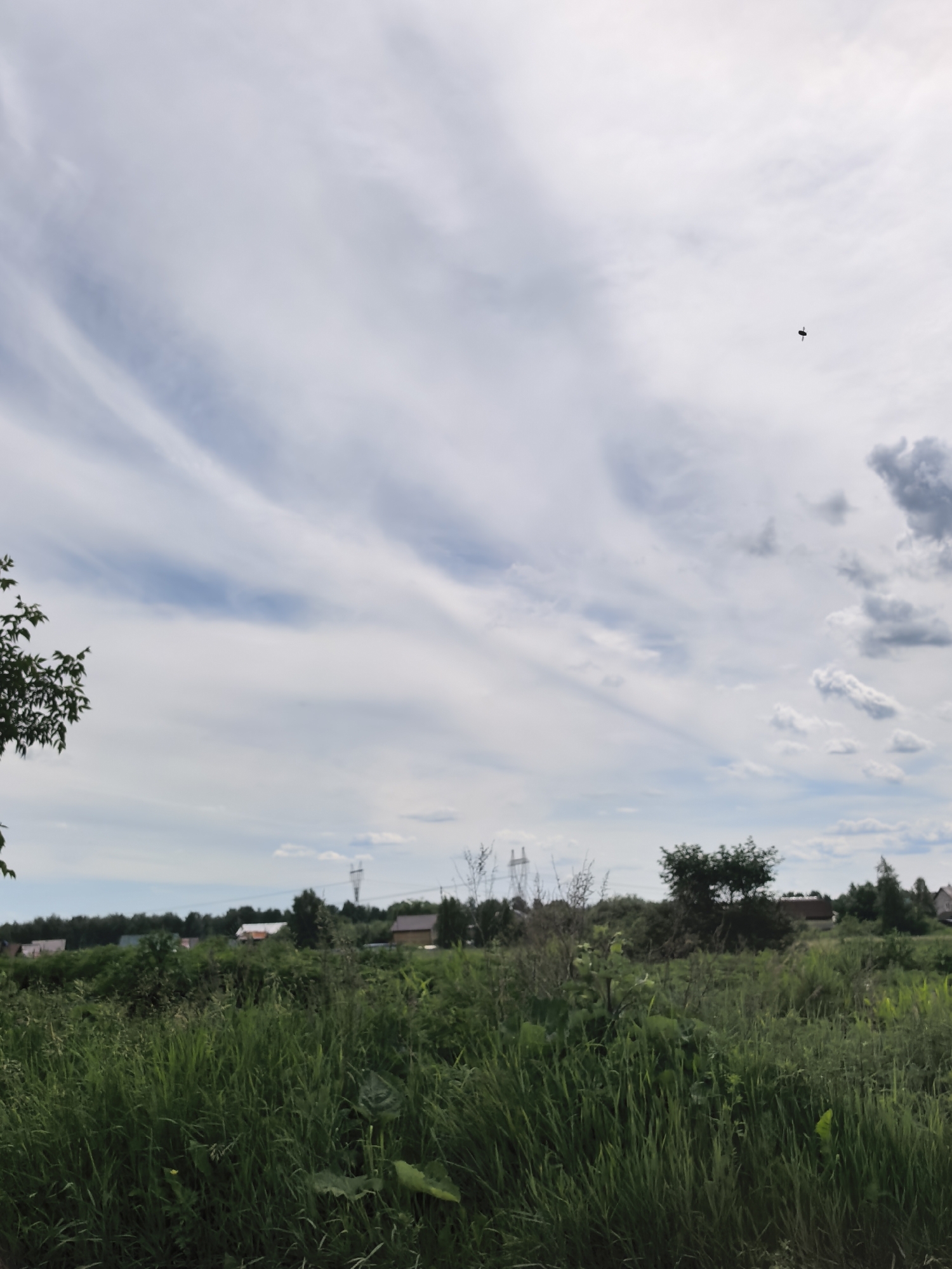 This is a landscape photograph taken outdoors on a cloudy day. The foreground is dominated by lush green grass and foliage. In the mid-ground, a cluster of trees and bushes are visible, interspersed with what appear to be houses and buildings, suggesting a rural or semi-rural setting. Further in the background, the sky is filled with streaky, wispy clouds, with a few darker clouds present. A small, dark object, possibly a bird or an insect, is captured in flight in the upper right portion of the sky. Power lines or transmission towers are also faintly visible in the distance. The overall scene depicts a natural environment with signs of human habitation.