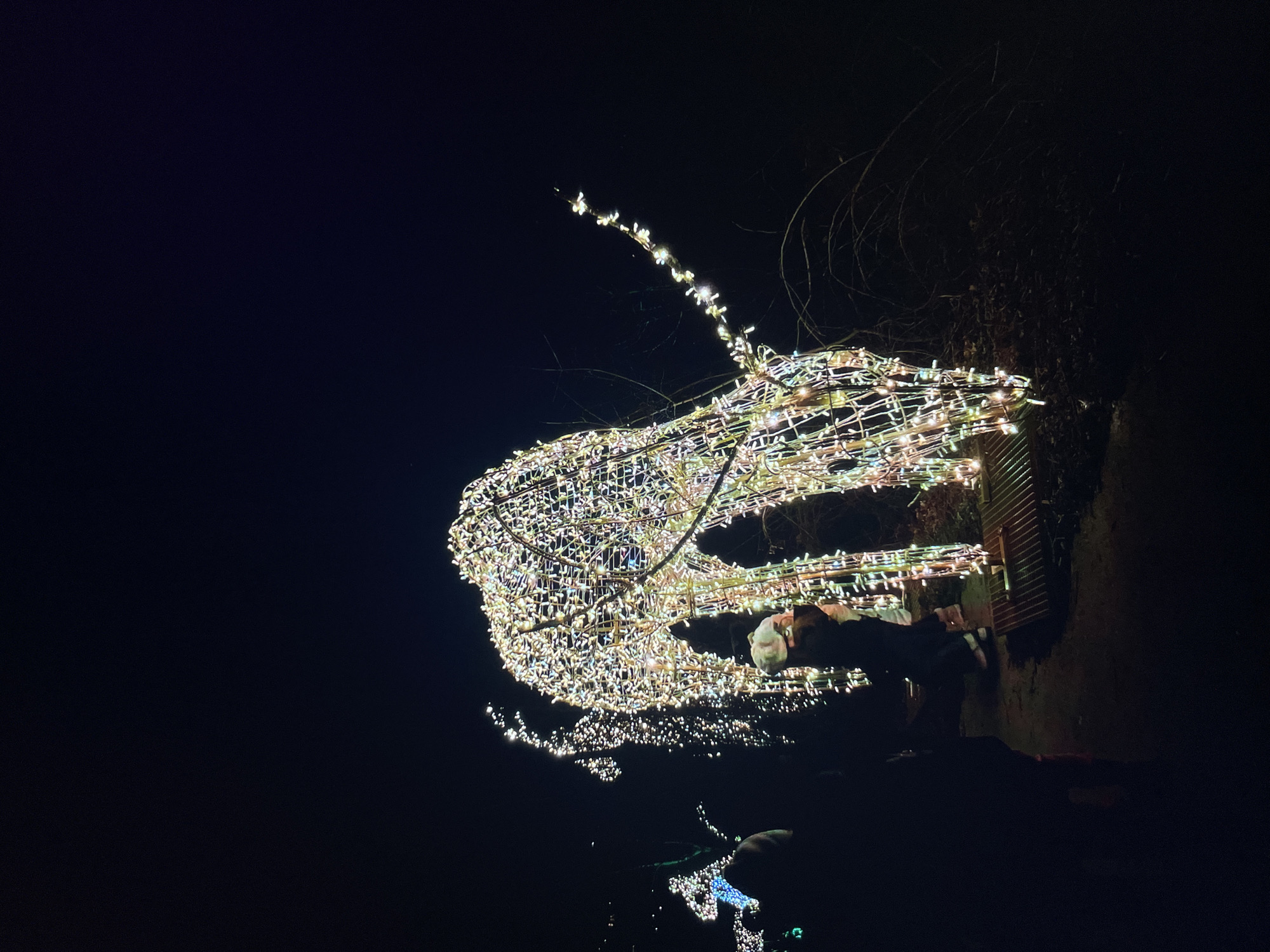 At night, a reindeer figure illuminated with numerous small white and multicolored lights stands next to a structure that looks like a wooden fence or wall. A person wearing a light-colored hat is positioned near the reindeer. The overall environment appears dark, with faint lights visible in the distance.