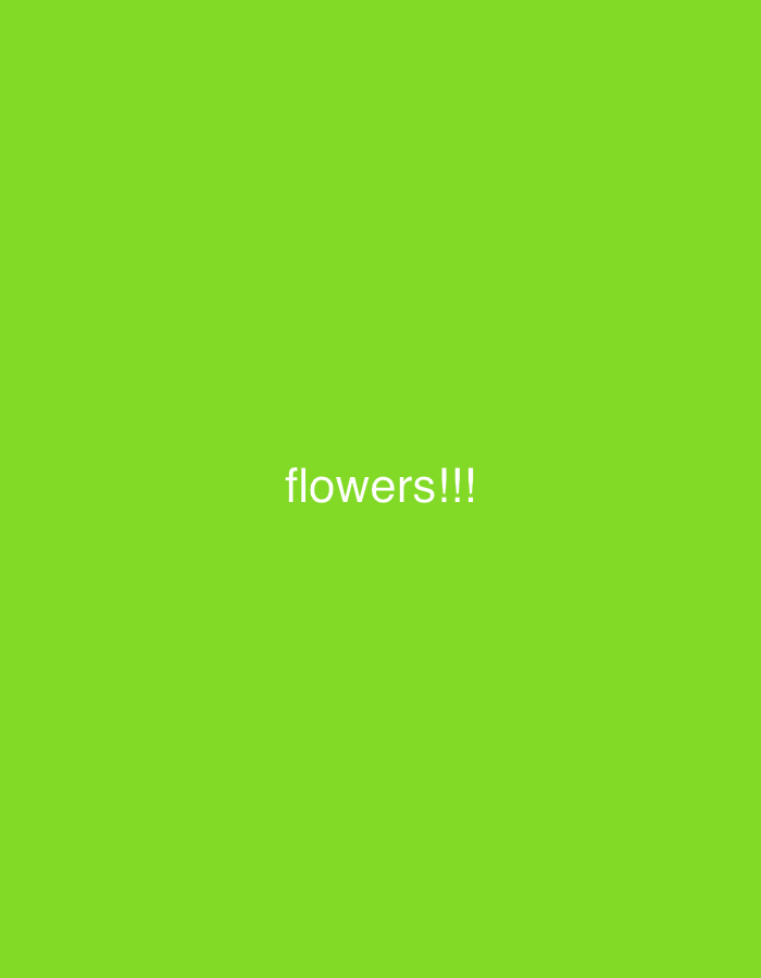 The image is a solid green field with the word "flowers!!!" in white text at the center. There is no visible location in Xochitepec, Mexico, people, objects, actions, interactions, or environmental details.