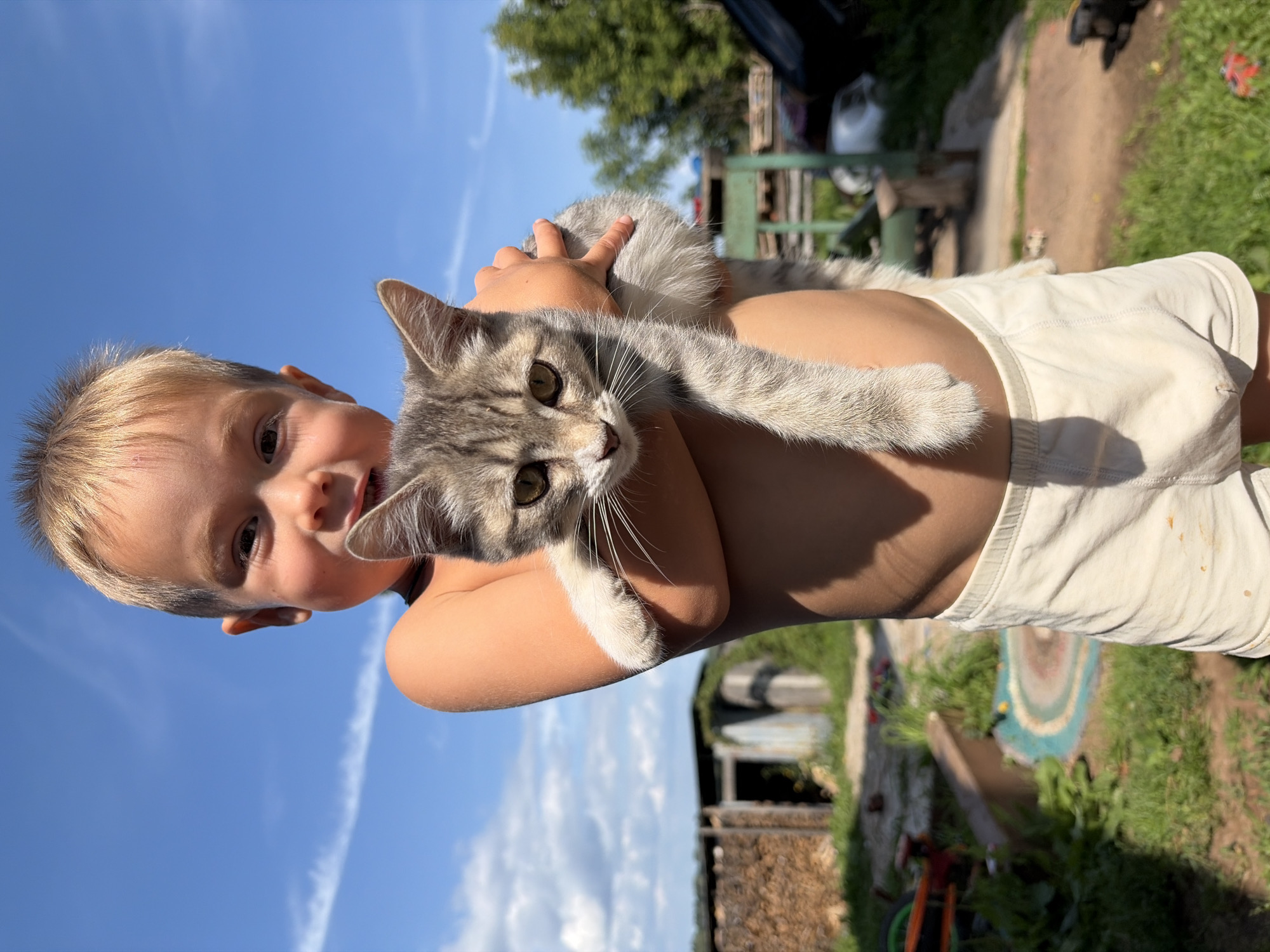 A young boy with blond hair and a light complexion is holding a grey and white tabby kitten in his arms. He is shirtless and wearing light-colored shorts. The boy is smiling and looking at the camera. The kitten is looking slightly to the side, its front paws resting on the boy's chest.
The scene appears to be outdoors, likely in a rural setting. In the background, there is a wooden shed with a pile of wood next to it. Further back, there are trees and other structures that are out of focus. The sky is blue with a few white clouds. The ground is covered in grass and dirt.
The overall impression is one of a warm, sunny day and a moment of companionship between a child and an animal. The location is identified as Olkhovka, Russia.