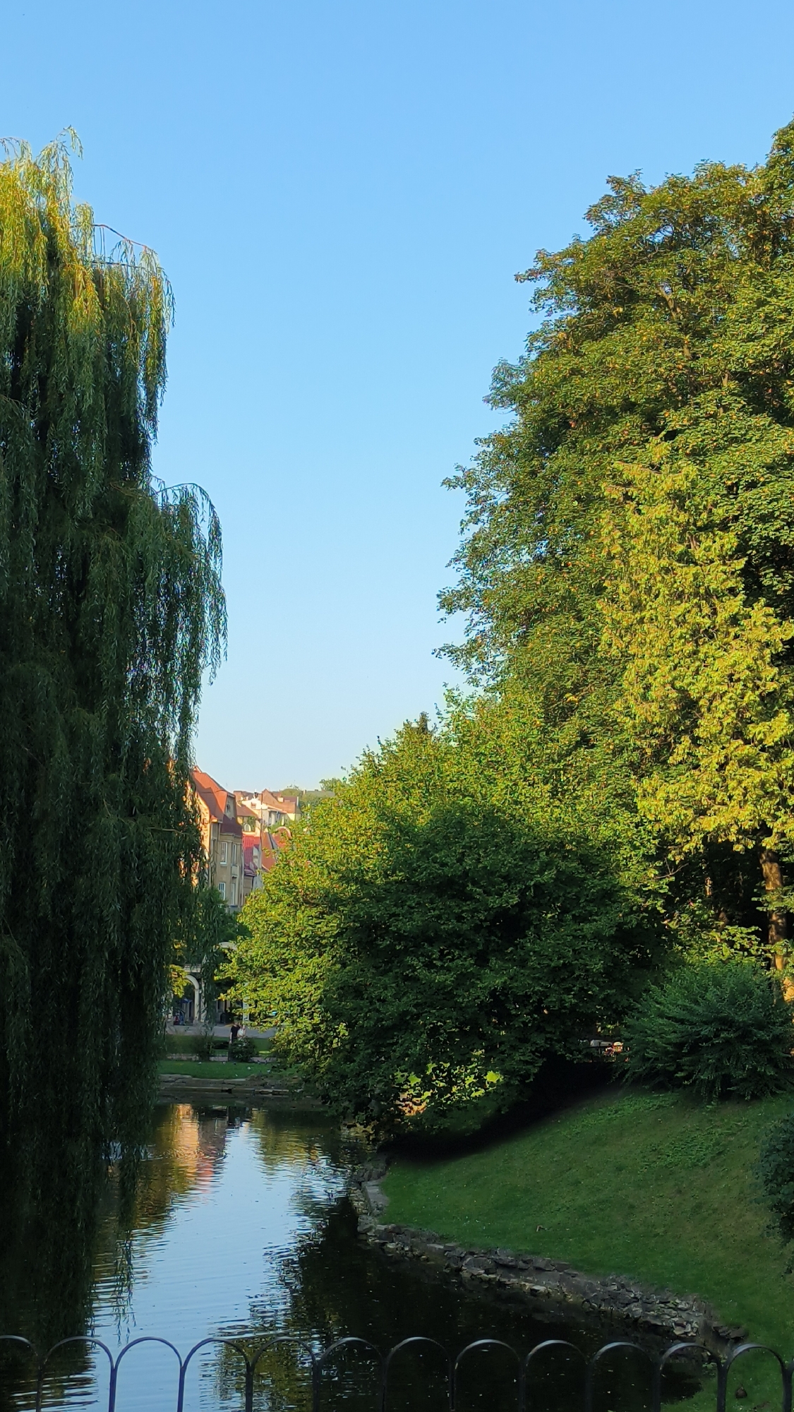 The image depicts a serene park scene in Lviv, Ukraine, likely during late afternoon or early morning due to the quality of light. A tranquil body of water, possibly a pond or canal, dominates the lower half of the frame, its surface reflecting the surrounding greenery and a clear blue sky. Along the water's edge, a low black metal fence is partially visible in the foreground.
Lush green trees frame the water on both sides. On the left, a large weeping willow tree with its characteristic long, drooping branches creates a dense, dark green curtain. On the right, a more substantial deciduous tree with vibrant green foliage is bathed in sunlight, highlighting its texture and depth. Beyond the trees, in the middle ground, several buildings with reddish-tiled roofs are visible, suggesting an urban setting adjacent to the park. Some of these buildings appear to be older, contributing to the historical charm often associated with Lviv. The ground slopes gently upward from the water's edge, covered in well-maintained green grass and bordered by a stone embankment along the water. The overall atmosphere is peaceful and natural, offering a contrast to the urban elements in the background.