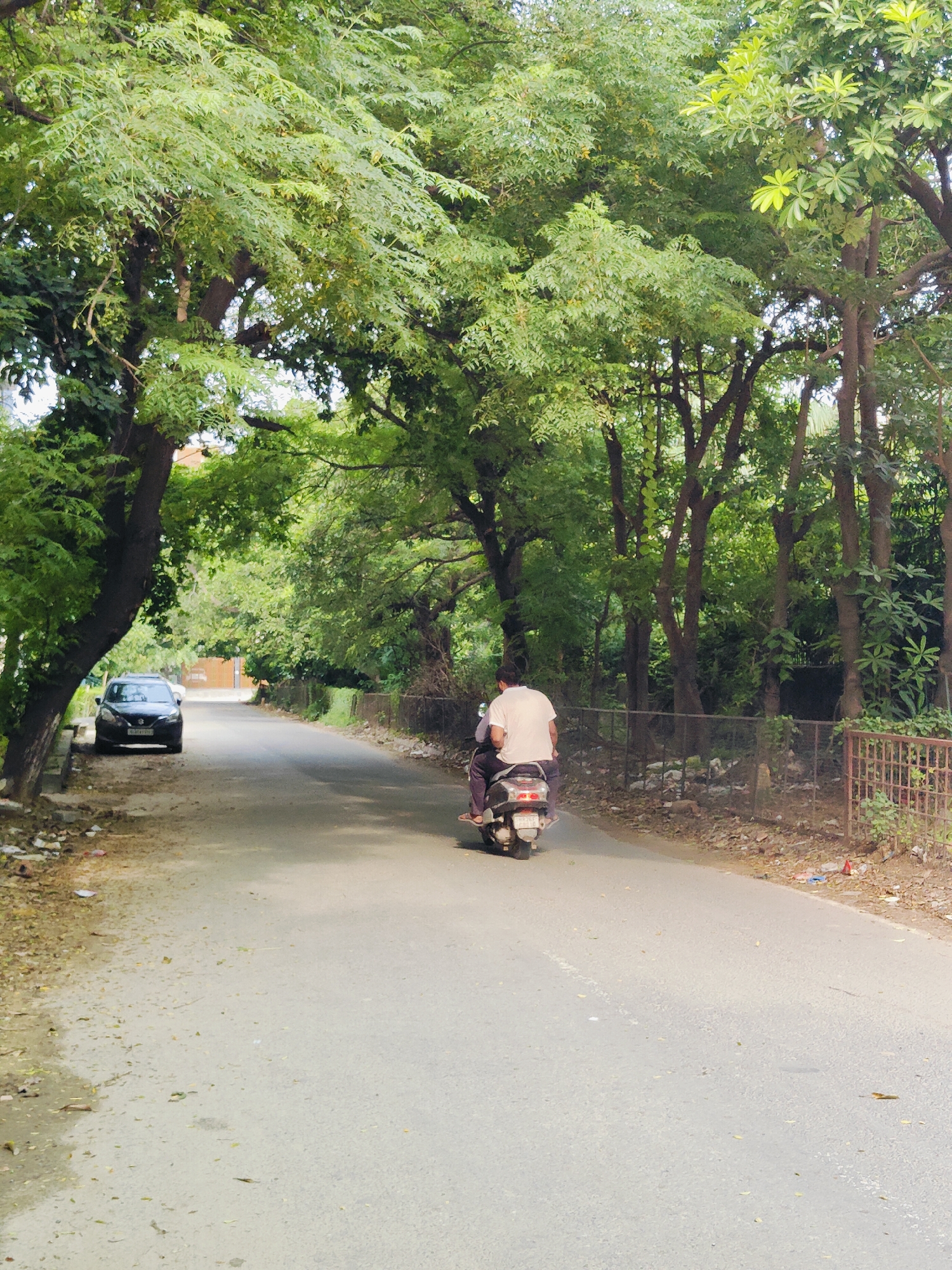 In Gurgaon, India, a paved road winds through a green, tree-lined environment. On the left side of the road, a dark-colored car is parked. Further down the road, two individuals are riding a scooter. The person in front is wearing a white t-shirt, and the person behind is wearing dark pants. The area is densely populated with trees, creating a canopy over the road. The ground alongside the road is covered with fallen leaves and some scattered debris. A metal fence runs along the right side of the road, separating it from a densely vegetated area. The sky is overcast, casting a diffused light on the scene.