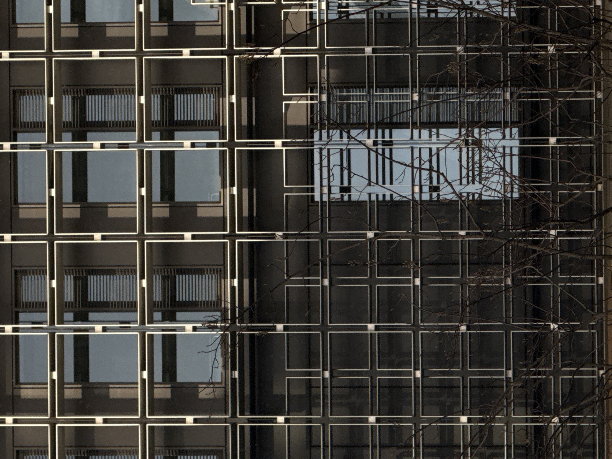 The image presents a partial view of a modern building facade, likely situated in an urban environment. The architectural style features a grid-like pattern of windows, each framed with what appears to be a light-colored or illuminated border. The windows themselves display varying degrees of reflectivity, with some showing sky and cloud reflections, suggesting the building is of considerable height.
Overlapping the building facade are leafless tree branches, obscuring portions of the windows and facade. This indicates the image was likely taken during the fall or winter season. The color palette is muted, with dark tones dominating due to the building's dark cladding and the bare branches.
Without additional context, pinpointing the precise location within Esch-sur-Alzette is challenging. However, the architectural style suggests a recent construction, possibly within a redeveloped area or a business district in the city.