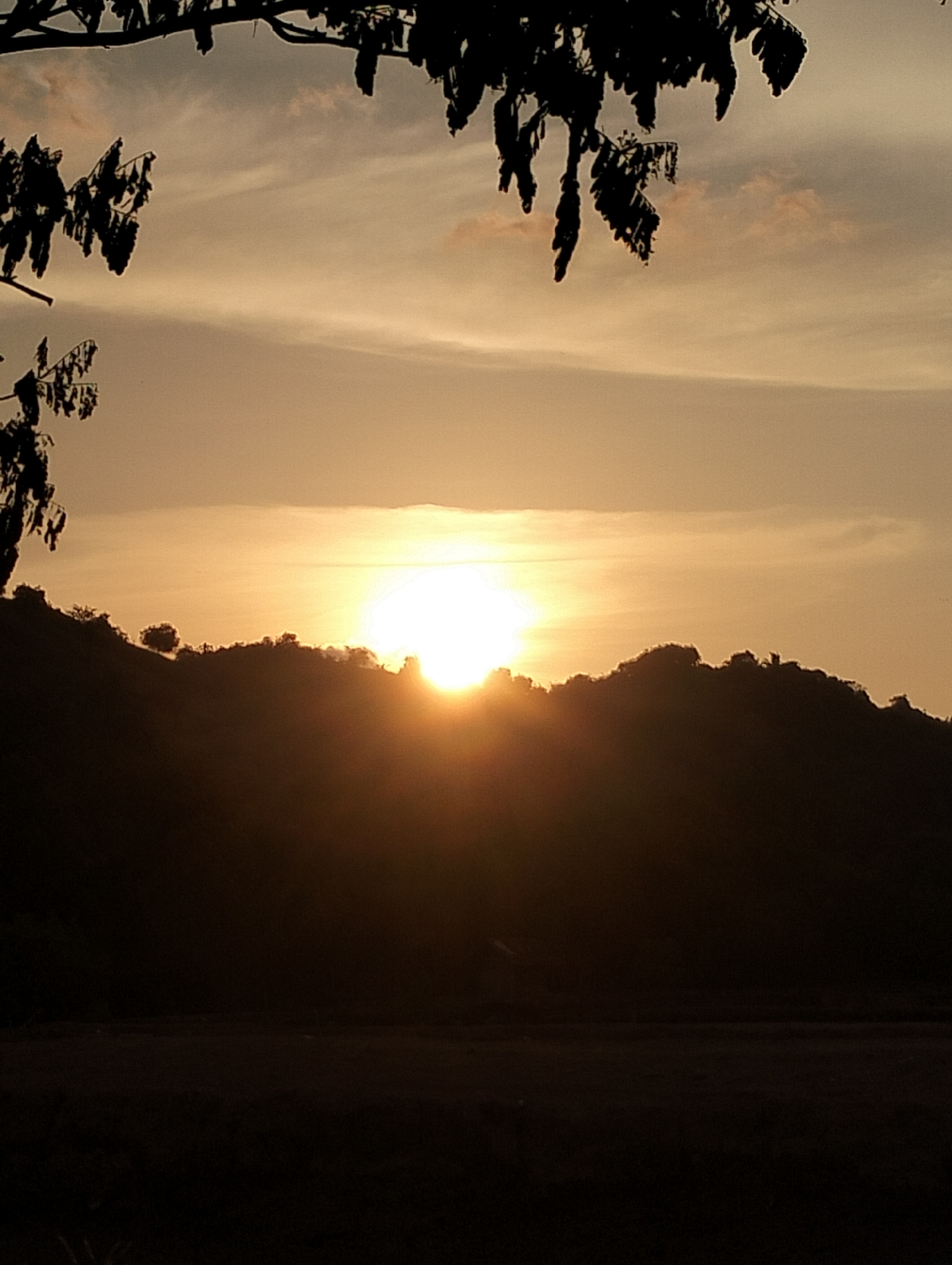 The image captures a beautiful sunrise or sunset over a landscape in Lhokseumawe, Indonesia, dominated by a prominent hill or mountain range. The bright, radiant sun is partially obscured by the dark silhouette of the hill, creating a dramatic halo effect and casting a warm golden-orange glow across the sky.
The upper portion of the frame features silhouetted tree branches and foliage, adding a natural frame to the scene. The sky exhibits soft, wispy clouds, illuminated by the sun's low position, ranging from pale yellow directly around the sun to warmer orange and pink hues higher up. Below the illuminated sky and the dark hill, the foreground is extremely dark and indistinct, suggesting ground, fields, or perhaps water, rendered almost completely black by the backlighting.
The overall impression is one of peaceful natural beauty at the golden hour. There is no visible text in the image.