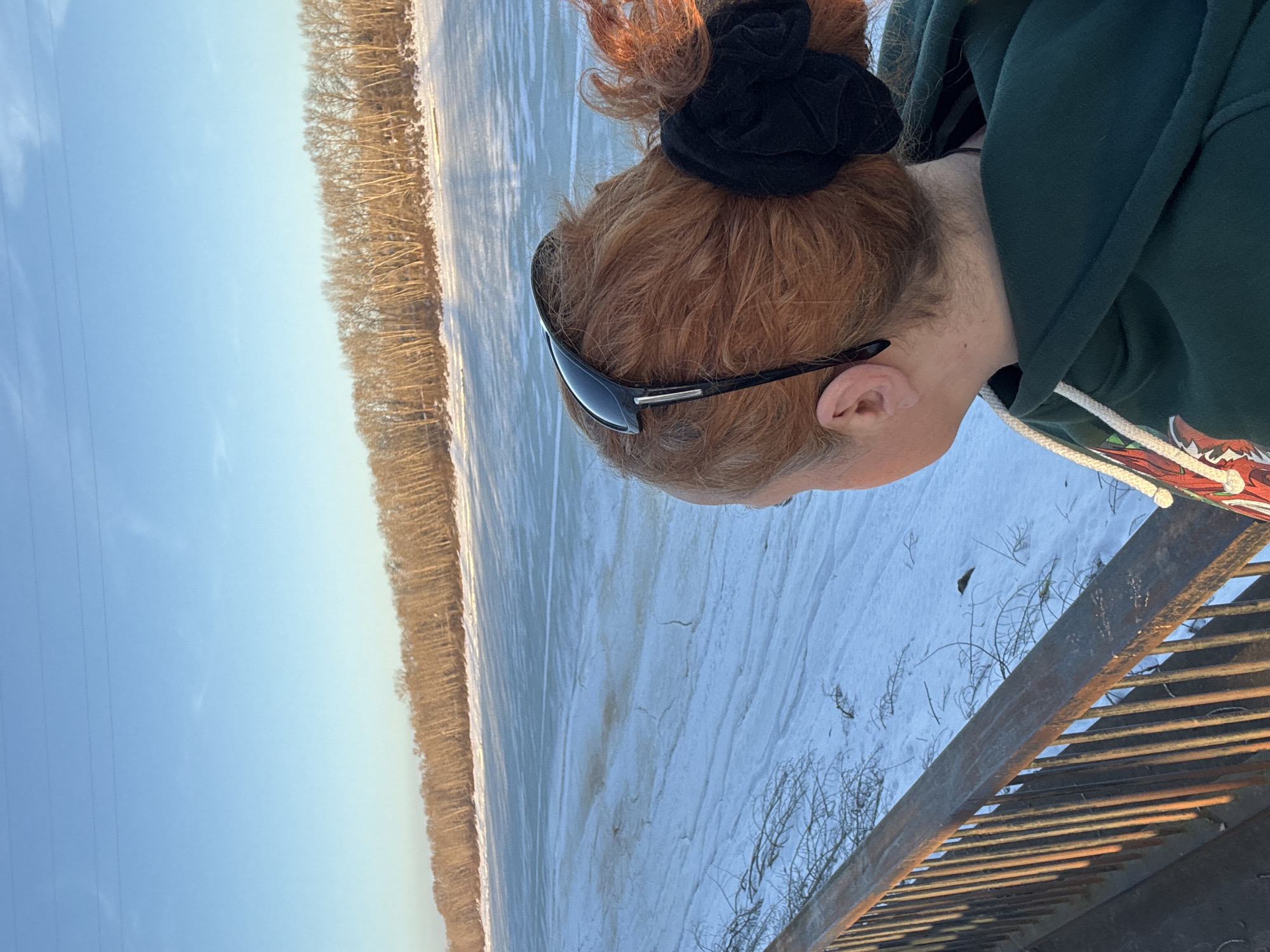 The image shows a person with reddish-brown hair in a bun, secured with a black scrunchie. Sunglasses are perched on the person's head. They are wearing a dark green hoodie with a white drawstring. The person is standing near a metal railing. In the background, there is a snow-covered landscape with a row of trees along the edge of what appears to be a frozen body of water. A clear blue sky is visible. It is challenging to confirm the location specifically as Chaikovsky, Russia, based solely on the image.