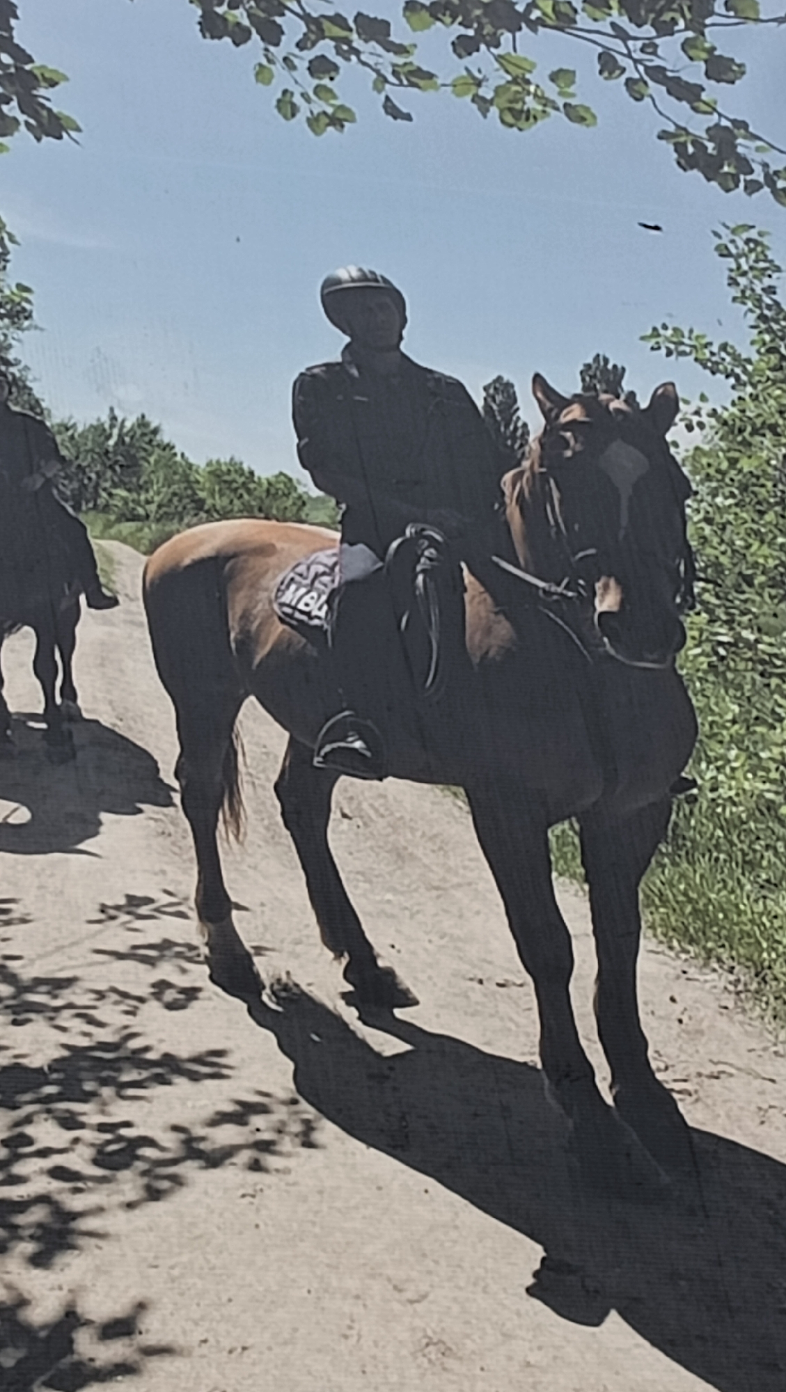 The image depicts an outdoor scene featuring at least two individuals engaged in horseback riding on a sunny day in Tiraspol, Moldova. In the foreground, a rider in a dark helmet and dark clothing is mounted on a brown horse. This horse has a white blaze on its face and is equipped with a saddle and a patterned saddle pad. The letters "MBA" are clearly visible on the saddle pad.
Another horse and rider are partially visible behind the main subject, suggesting a group activity, possibly a trail ride. They are on an unpaved, dirt path that shows distinct dappled shadows from overhead trees, indicating bright sunlight. The background and sides of the path are filled with lush green foliage, trees, and bushes, framing the scene against a clear blue sky. Branches and leaves extend into the upper part of the image, contributing to the natural, rural, or park-like setting. The time of day is bright daylight, and the weather appears clear and sunny. The overall impression is one of a leisurely ride through a natural environment.