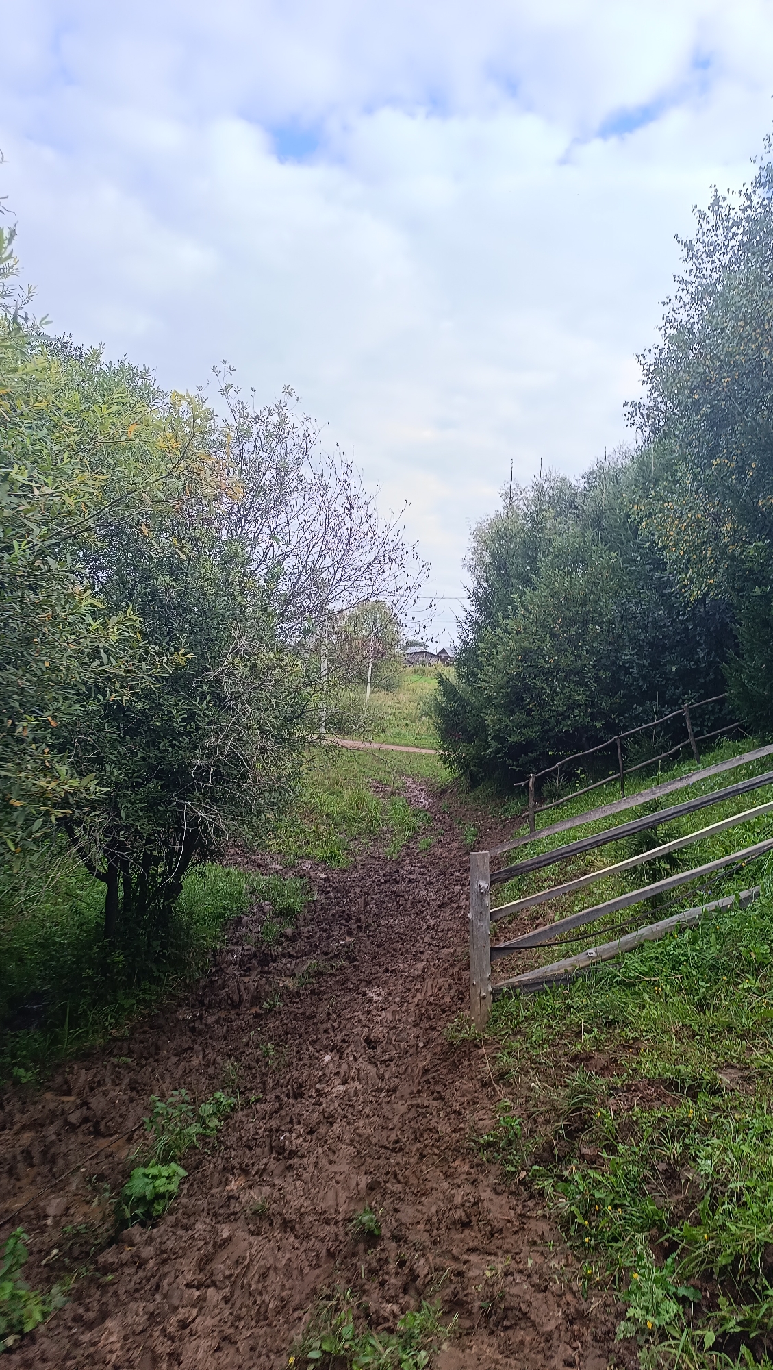 The image shows a muddy path leading uphill through a rural landscape. Dense green foliage lines both sides of the path, with a wooden fence visible on the right. In the background, a small building with a dark roof can be seen on a grassy hillside. The sky is overcast with patches of blue. The scene is located in the city of Karsha, Russia.