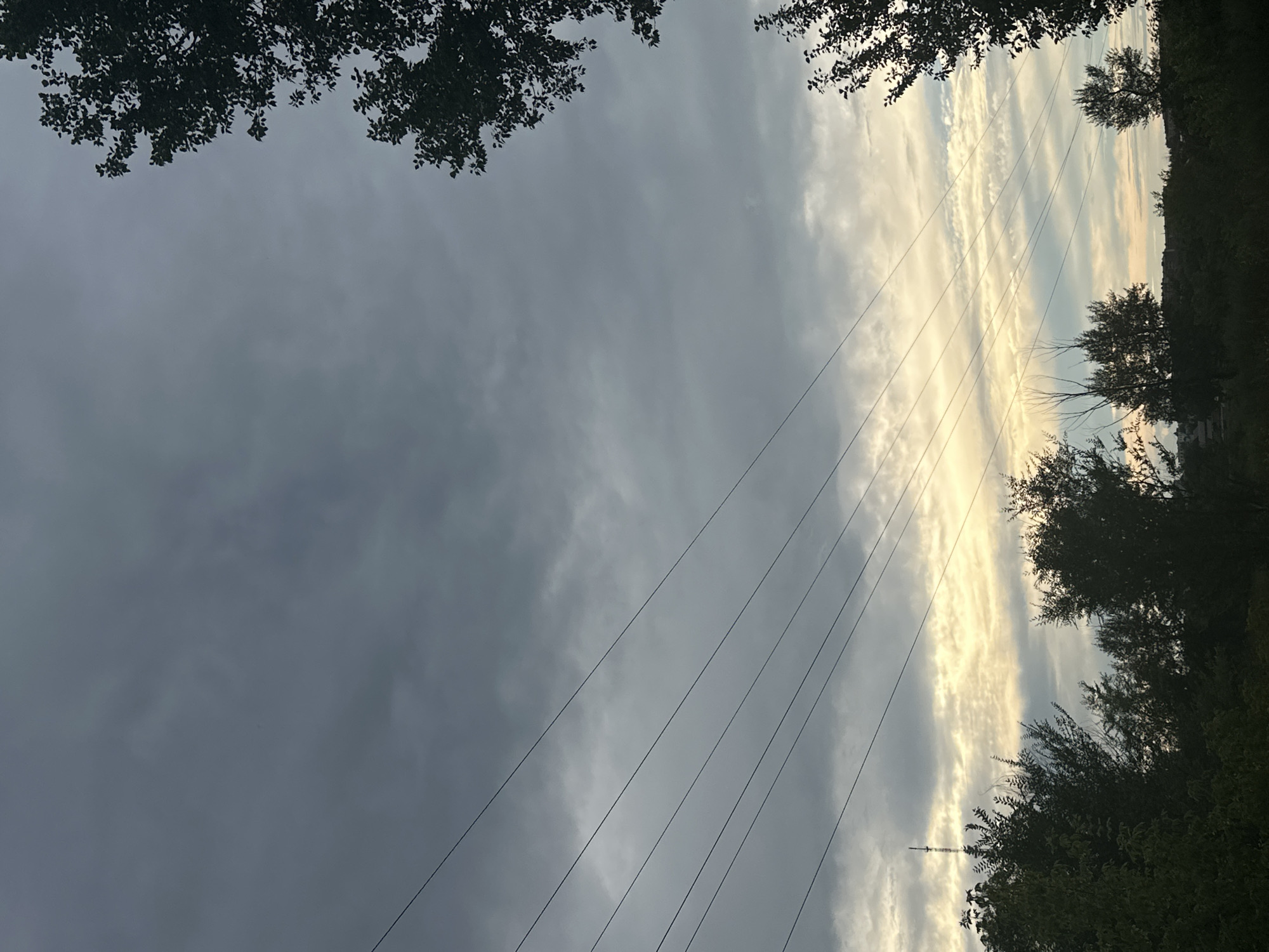 This is a landscape image captured outdoors, likely during the late afternoon or early evening. The dominant subjects are the sky and the natural environment. The sky is filled with a mix of dark, overcast clouds on the left side of the frame and brighter, striated clouds illuminated by sunlight on the right, suggesting a transition in weather or the setting sun.
Several power lines run diagonally across the image, from the lower left to the upper right, creating a linear element against the sky. Trees with dark green foliage frame the right side of the scene, obscuring parts of the horizon and adding depth. Some tree branches with leaves are also visible at the top of the image, extending into the frame from above.
The lighting indicates it is likely near sunset, with the sun casting a warm glow on the clouds on the right. The overall mood is somewhat dramatic due to the contrast between the dark and light clouds, and the linear intrusion of the power lines. There are no people or specific objects of note other than the power lines and trees. The location context of Заречный ауылдық округі, Kazakhstan, suggests a rural or semi-rural setting. No text is visible in the image.