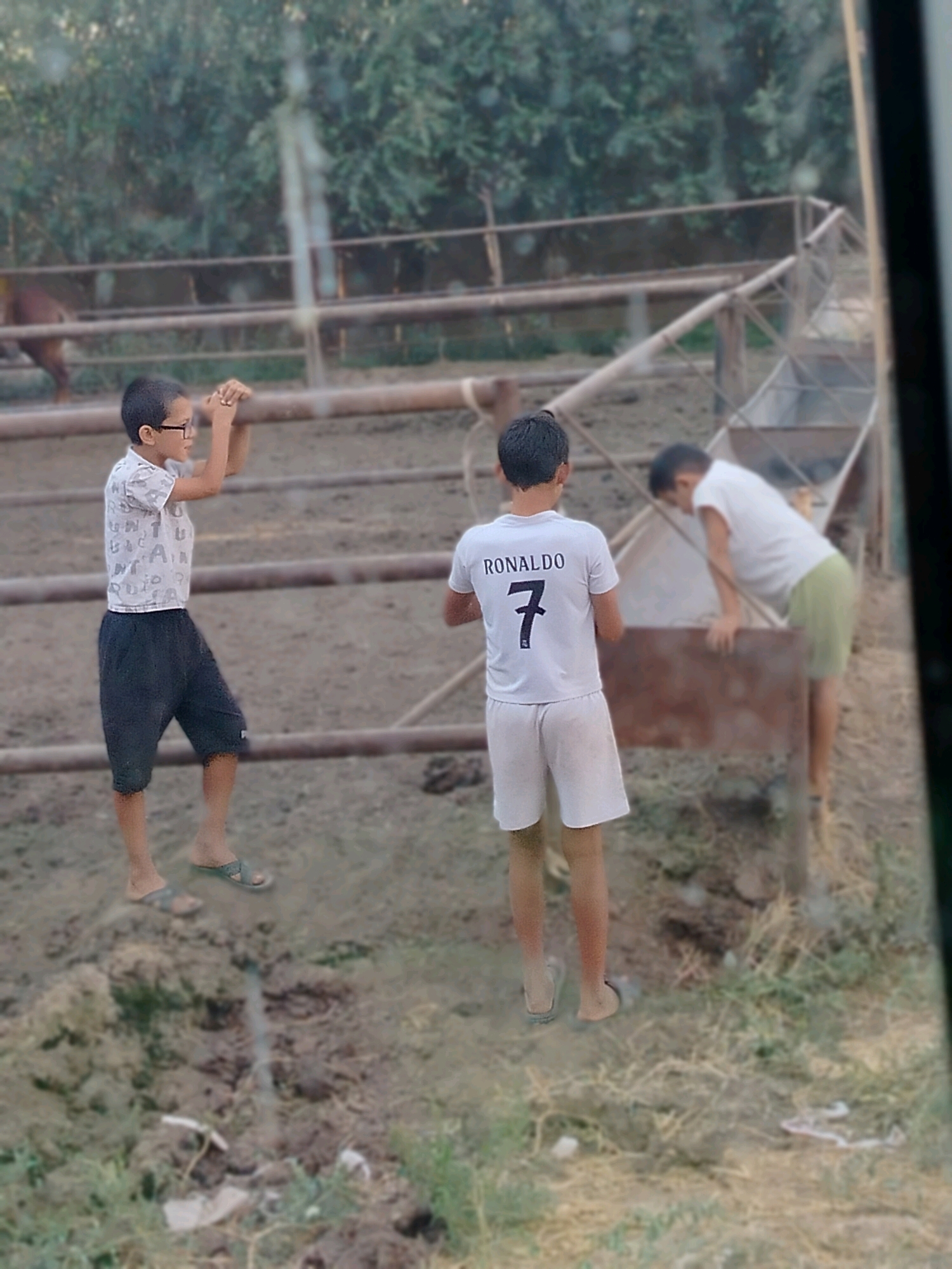 Memory