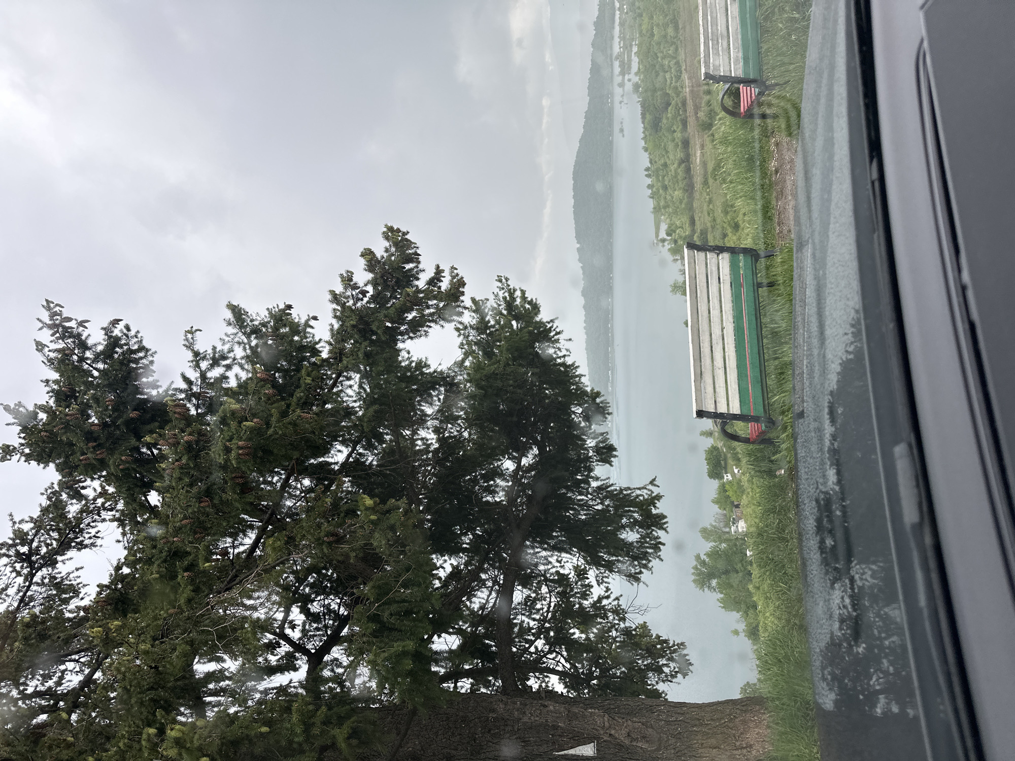 The image, likely taken from inside a vehicle, shows an exterior scene on a cloudy day. In the foreground, a large tree with visible pine cones occupies the left side of the frame. To the right of the tree, a body of water is visible, stretching into the background. Along the shore, there is a grassy area with two benches positioned along a path. The right side of the image is obscured by the vehicle's window, which appears to be wet, possibly from rain. The exact location within Montana, Bulgaria cannot be determined from the image. There are no visible people or identifiable actions or interactions occurring in the scene.