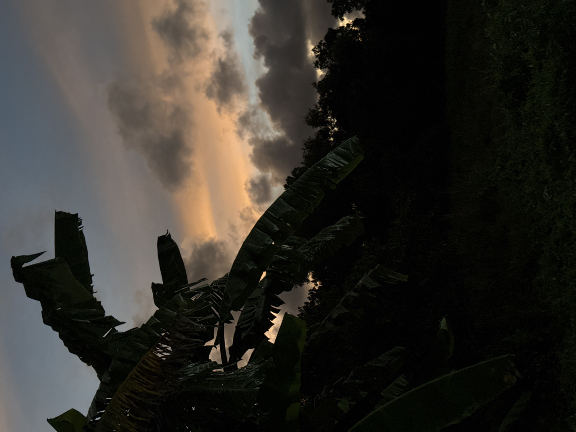 The image captures a dramatic twilight sky over a lush, dark landscape in Thep Krasatti, Thailand. Silhouetted banana leaves dominate the foreground, their broad, tattered forms reaching upwards towards the illuminated clouds. The sky itself is a canvas of contrasting light and shadow. A broad swath of soft, peachy-orange light cuts through the otherwise dusky blue and gray sky, highlighting the undersides of scattered clouds. Darker, more ominous clouds drift in the upper right portion of the frame, obscuring the setting sun and casting the dense vegetation below into deep shadow. The overall impression is one of natural beauty at the transition from day to night, with a hint of moody atmosphere. There is no visible text.