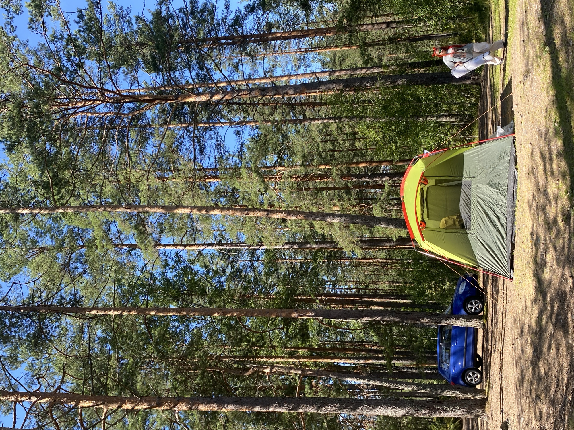 A person is seen in a forest in Leipyasuo, Russia, carrying camping gear next to a tent. A blue car is parked nearby. The scene is set among tall pine trees under a clear blue sky.