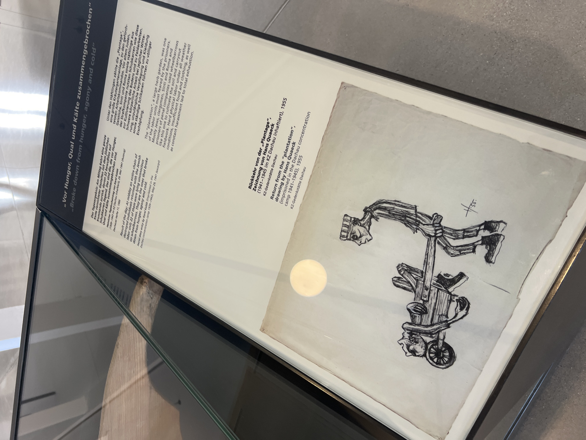 The image shows a display case containing a historical exhibit. The exhibit features a framed drawing and accompanying text. The drawing depicts a skeletal figure being pushed in a wheelbarrow by another emaciated figure. Both figures are rendered in a stark, dark style. The text, presented in both German and English, discusses the "plantation" and its impact on prisoners. The German text is titled "„Vor Hunger, Qual und Kälte zusammengebrochen" and the English translation is "Broke down from hunger, agony and cold." The text describes a large herb garden at the concentration camp where prisoners, including Jews, Roma, and Sinti, were forced to cultivate the soil and work in the fields under harsh conditions. The drawing is identified as "Rückkehr von der „Plantage“" (Return from the "plantation") by Hans Quack, created in 1955. It is noted that Hans Quack was imprisoned in the Dachau concentration camp from 1941-1945. The exhibit is located at the KZ-Gedenkstätte Dachau, which translates to the Dachau Concentration Camp Memorial Site, located in the city of Dachau, Germany.