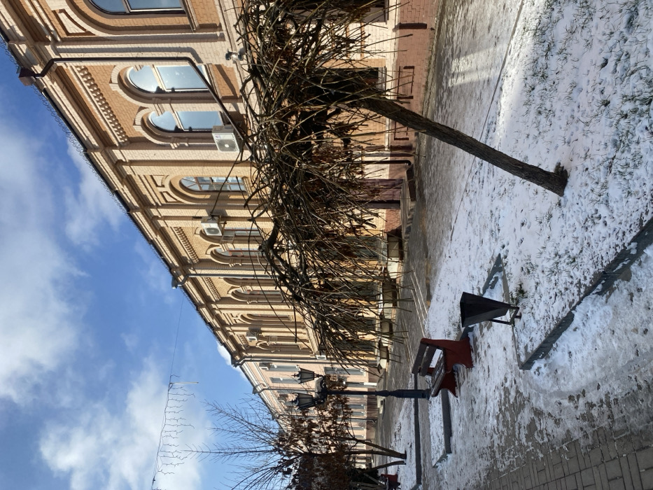 This image captures a quiet winter street scene in Kukui, Russia, under a bright, clear blue sky with scattered white clouds. The ground is partially covered in patchy snow, mixed with visible pavement and some grassy areas.
A prominent feature is a large, multi-story building constructed of light brown or beige brick, situated on the left side of the frame. The building exhibits a classical architectural style, characterized by numerous arched windows with decorative molding above them, and detailed cornices and brickwork along its facade. Several white air conditioning units are mounted beneath some of the windows.
In the foreground and center, a large, bare-branched tree with a wide, sprawling canopy stands beside the building, its intricate network of branches silhouetted. Further down the street, another smaller, bare tree is visible. The street area itself consists of paved sections and areas with melting snow. A red-sided wooden park bench and a black metal trash can are positioned on the snowy ground. Several dark, ornate lampposts are spaced along the street. A string of decorative lights hangs overhead, stretching across the scene against the sky. The bright sunlight casts distinct shadows on the snow and ground, indicating it is daytime.
No people or activities are visible in the image, contributing to a peaceful and still atmosphere. There is no discernible text visible on any objects within the frame.