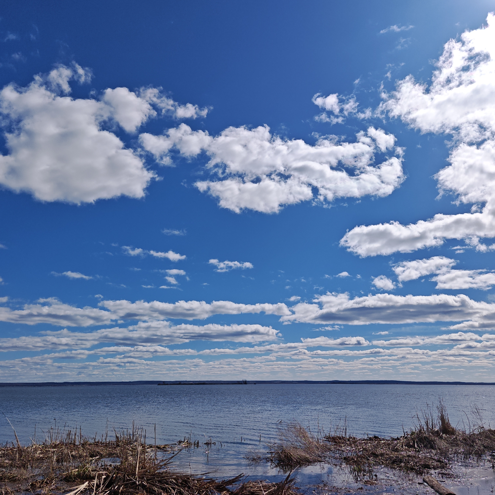 The image depicts a body of water, likely a lake or a wide river, under a bright blue sky with numerous white clouds of varying sizes and formations. In the foreground, there's a shoreline with dry reeds and vegetation partially submerged in shallow water. The water reflects the sky and clouds, creating a sense of depth. On the horizon, there's a distant landmass, possibly an island or the opposite shore.
It's not possible to definitively identify the location as Rostov, Russia, based solely on the image. The scene is a common landscape feature that could be found in many places. There are no people, specific objects or actions captured to confirm the location.