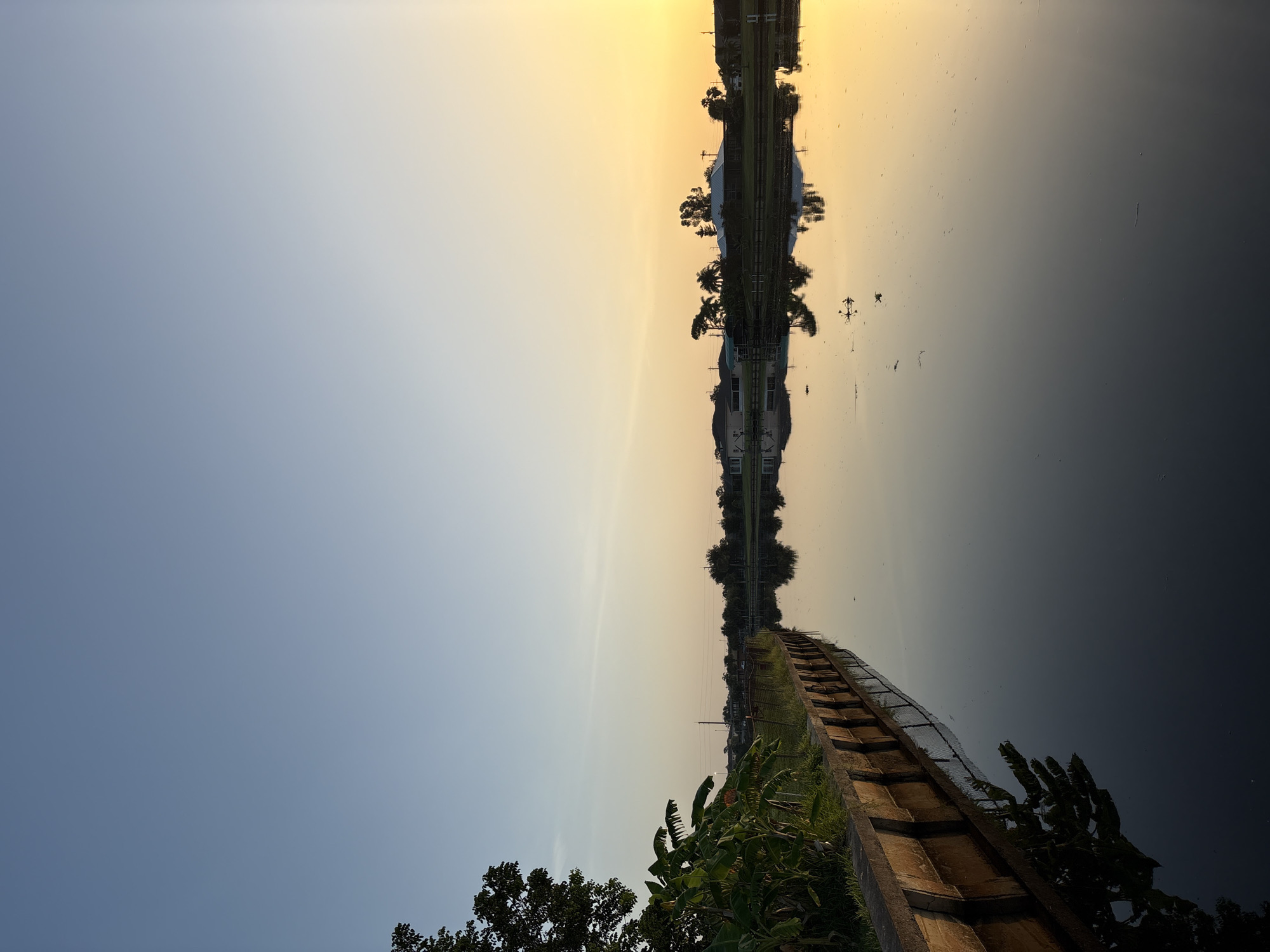 The image depicts a serene canal scene at dawn in North Port, Florida. The sky transitions from a clear, light blue at the top to a warm, golden yellow near the horizon, indicating sunrise. The calm water of the canal acts as a mirror, reflecting the sky and the houses, palm trees, and foliage lining the opposite bank. On the left side of the frame, a concrete retaining wall with wooden pilings runs along the edge of the canal, with lush green vegetation, including banana trees, growing on top. The water itself appears dark and still, with a few small debris items floating on the surface. The overall impression is one of peacefulness and natural beauty, characteristic of coastal Florida landscapes.