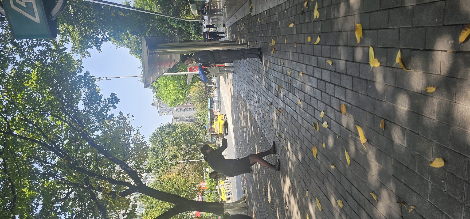 This image captures a vibrant street scene in a city, likely in Yuzhong District, China, on a sunny day. The perspective is looking across a paved sidewalk towards a street and distant buildings, with large trees framing the left side and top.
In the foreground, a gray brick-patterned sidewalk stretches across the frame, adorned with numerous yellow and brown fallen leaves, suggesting an autumn season. Strong sunlight casts long, distinct shadows of trees onto the pavement.
In the midground, several people are visible on the sidewalk. To the right, a person in a dark short-sleeved top, dark shorts or skirt, black stockings, and flat black shoes stands with their arm raised, possibly hailing a taxi or gesturing. Further left, under a modern bus stop shelter, another person dressed in dark attire, including a jacket and pants, stands seemingly waiting. A blue object, possibly an umbrella handle, is visible near them. In the background of the shelter, other indistinct figures can be seen.
Beyond the sidewalk, a street is visible with several yellow taxis, a common sight in some Chinese cities, along with other vehicles. The background features a mix of lush green trees and multi-story city buildings under a clear blue sky.
A green sign with a white symbol, possibly indicating a bus or metro stop, is visible in the upper left corner. Inside the bus shelter, a red sign with unreadable text is present. The overall impression is one of an active urban environment bathed in bright daylight.