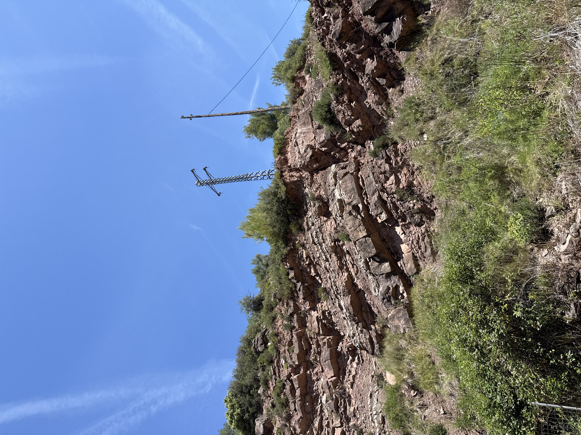 The image depicts a rocky, vegetated hillside under a clear blue sky with scattered wispy clouds. In the foreground, there is dense green shrubbery and tall grasses. The midground features a layered, reddish-brown rock formation with distinct horizontal strata, indicative of sedimentary rock. Sparse green bushes and trees grow on top of and in the crevices of the rock face. Dominating the upper midground and background are two utility poles. A tall, lattice-style metal pylon with power lines extending from it is on the left. A wooden utility pole with wires is to its right. The scene suggests a rural or semi-rural environment, possibly on the outskirts of Cardona, Spain, a region known for its geological formations and historical mining sites, which could explain the exposed rock and the presence of power infrastructure.