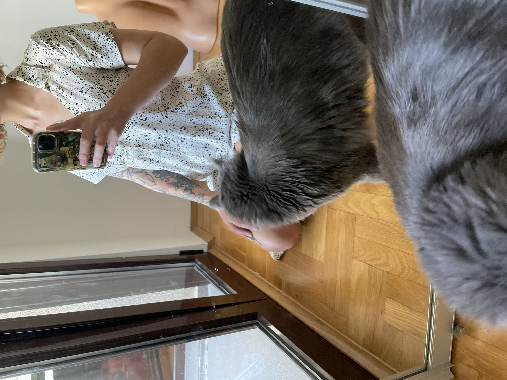 A person is taking a selfie in a mirrored closet. The person is holding a phone in their left hand and wearing a white shirt with black splatters. The person has tattoos on their left arm. A gray cat is positioned next to the person in the mirror. The floor is made of wooden planks. The mirror frame is dark brown and silver. The scene appears to be indoors. It is not possible to confirm the specific location of the scene in the city of Boreti, Montenegro from the image provided.