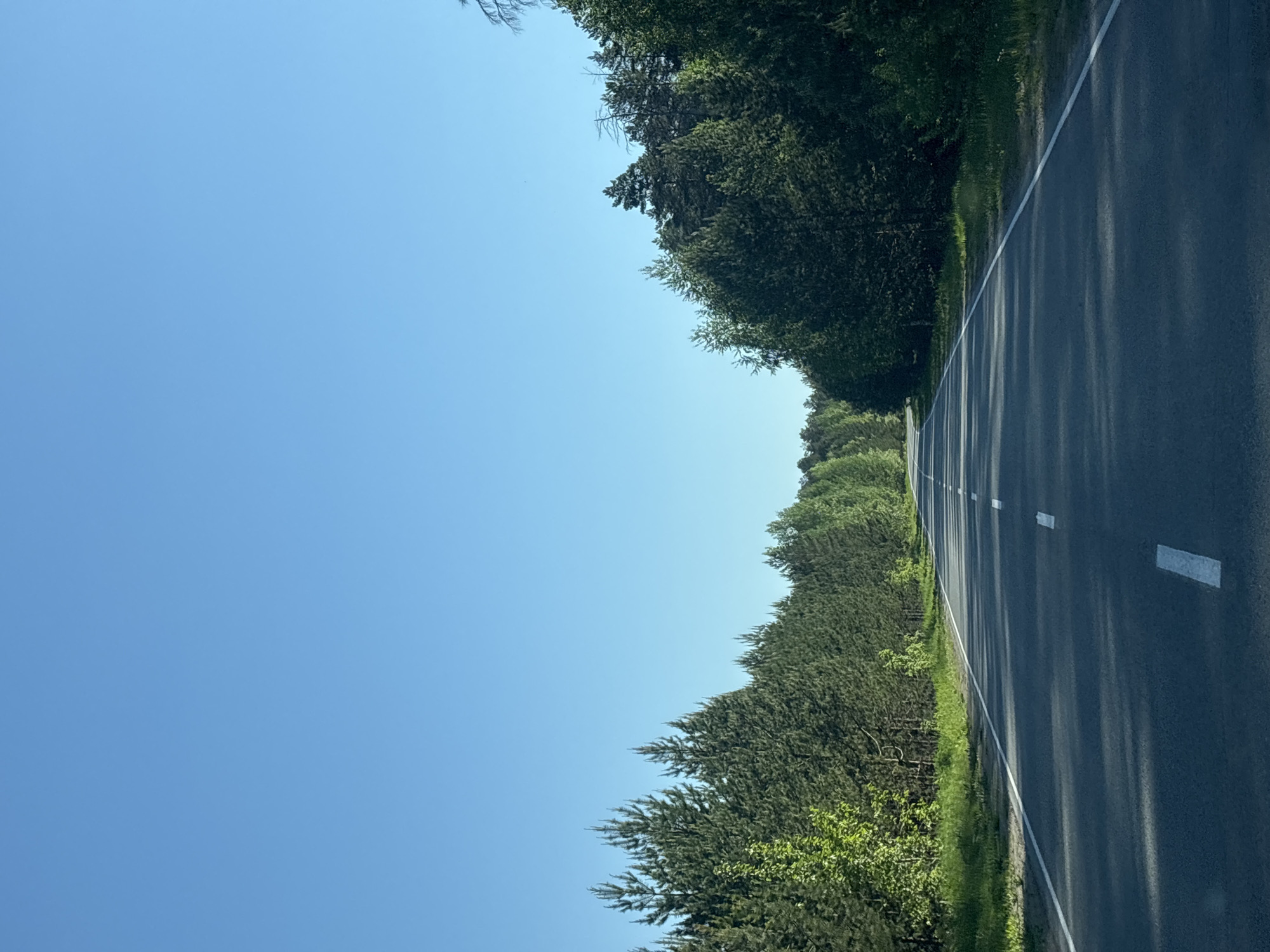 The image shows a section of road with a solid white line along the edge and intermittent dashed white lines marking lanes. Lush green trees line both sides of the road, contrasting with the clear blue sky. No people are visible. The location is not specified in the image.