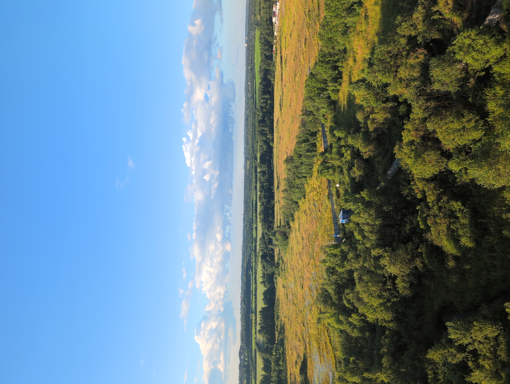 This is an aerial, eye-level, full, wide shot of a rural landscape under a bright blue sky with scattered clouds. The scene appears to be taken in or near Bugry, Russia. In the foreground, a dense growth of green trees and foliage is visible, casting shadows on the ground. A dirt path or road winds through the trees.
In the midground, a wide, dry grassy field stretches out, with patches of yellow and brown vegetation. This field appears to be bordering a body of water or a marshy area on the left side of the frame. A small, blue portable building or container is situated on the edge of this field, near the tree line.
In the background, rolling hills covered in green forests and fields are visible. A distant horizon shows a scattering of buildings and infrastructure, suggesting a town or village in the far distance. The overall impression is one of a natural landscape on the outskirts of human settlement, likely during late summer or early autumn given the dry grass.