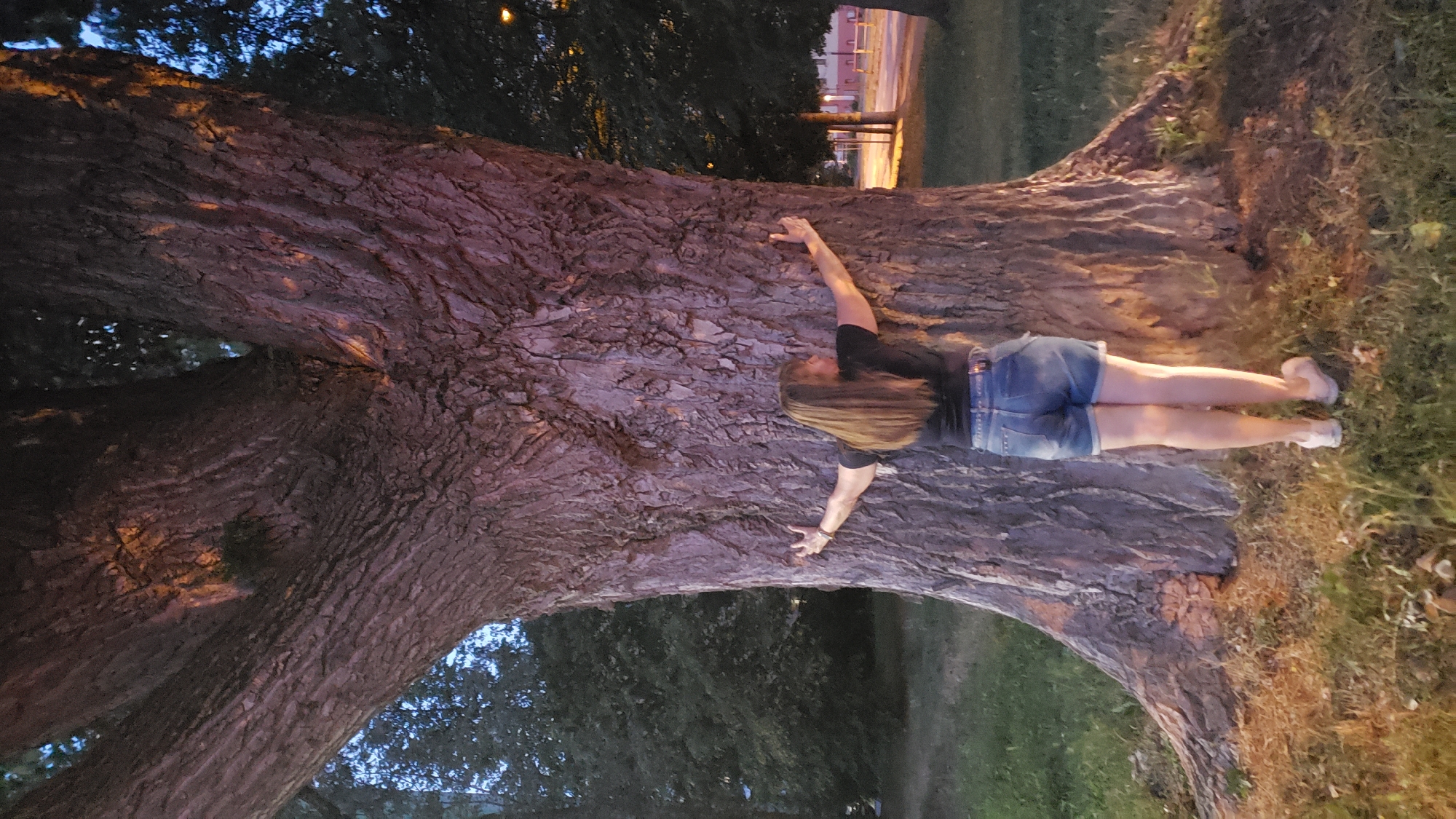 A person with long, brown hair is seen from behind, wearing a black t-shirt and denim shorts. They are standing in front of a large tree with thick, textured bark, with their arms outstretched to hug the trunk. The person's feet are bare, and they are wearing white shoes. The tree is set in a grassy area, with trees and a street visible in the background. The scene appears to be in a park or public space in the city of Prešov, Slovakia, during dusk.