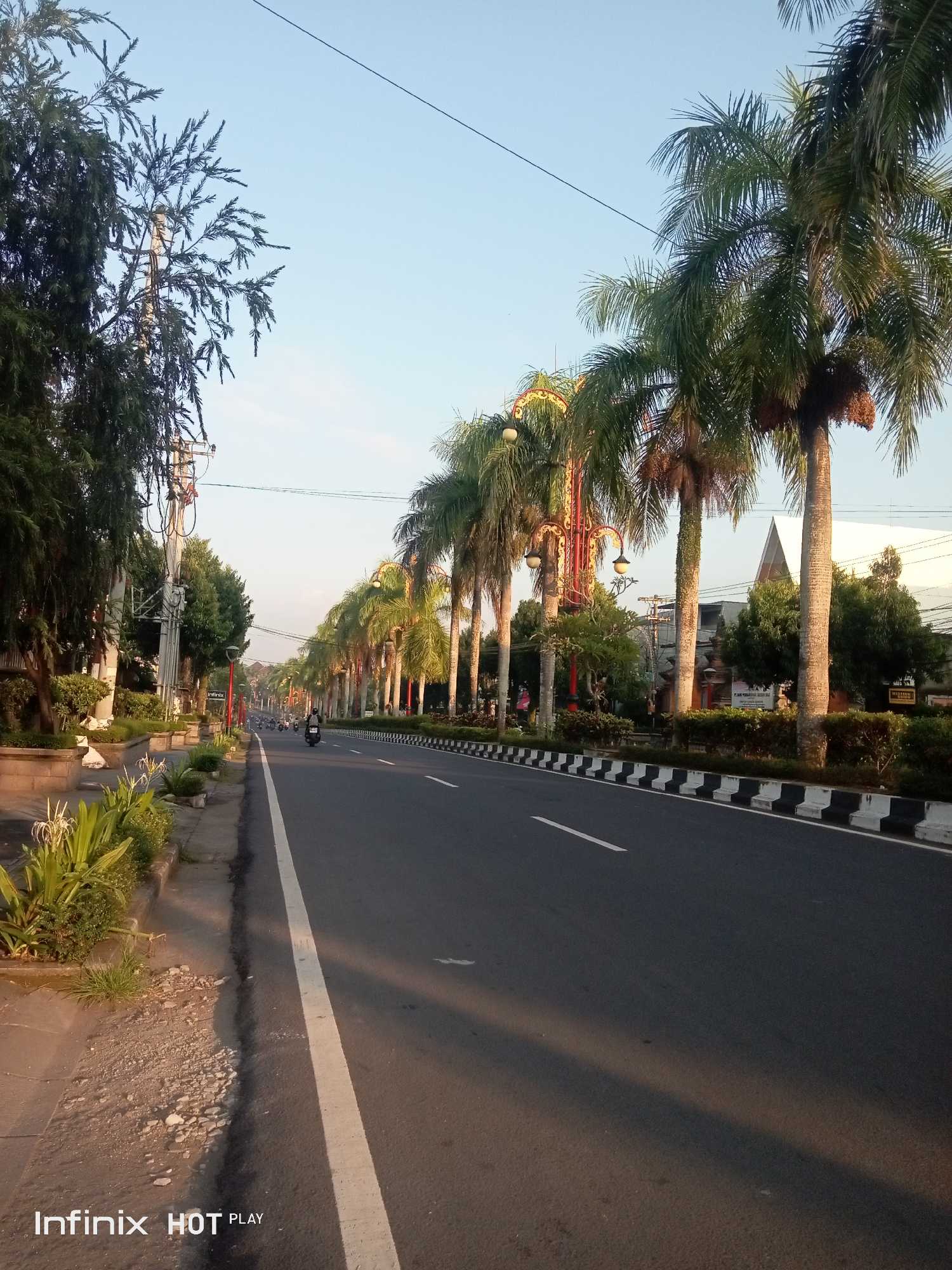 An asphalt road with a white lane marking runs from the bottom right to the center of the image, lined by palm trees on the right and vegetation and trees on the left. The sky is clear and light blue, suggesting it is either early morning or late afternoon. The road is mostly empty, with a single motorcycle visible in the distance, heading away from the camera. Streetlights are visible along the right side of the road, with ornate lampposts interspersed with the palm trees. The left side of the road features a sidewalk with planters containing green foliage and white flowers. In the background, buildings and more trees are visible, partially obscured by the palm trees. The overall scene depicts a peaceful, tree-lined urban street in Gianyar, Indonesia, bathed in soft, natural light.