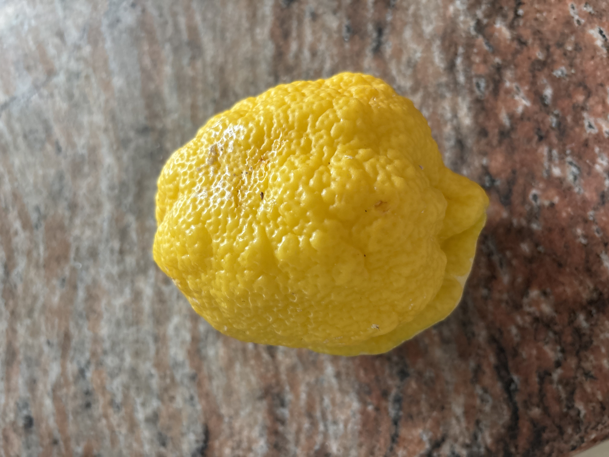 A single, bumpy, bright yellow lemon rests on a marbled countertop. The countertop has swirling patterns of brown, pink, and gray. The lemon is positioned in the center of the frame, slightly off to the right. There are no people or actions depicted in the image, and no specific location in Orihuela, Spain, can be determined from the visual information.