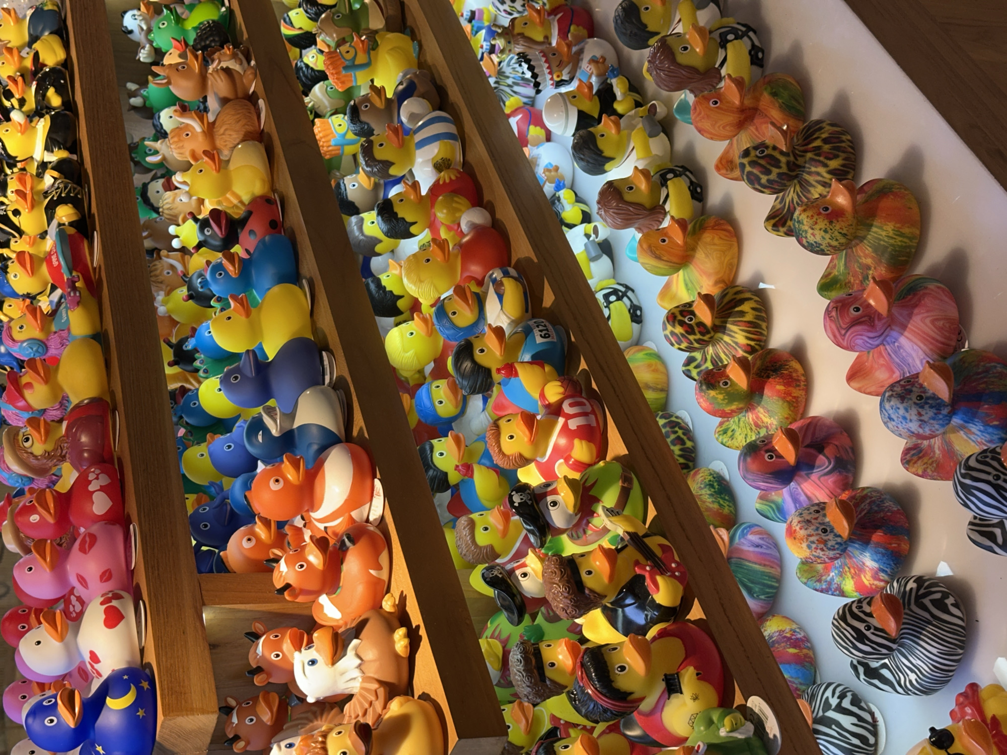 A large collection of rubber ducks, most likely for sale, is displayed in wooden-framed shelves against a white wall. The ducks are individually painted or molded into various characters and designs, including animals like zebras and squirrels, and patterns such as leopard print and rainbow swirls. The collection features solid colors like pink, blue, and yellow. The shelves are tightly packed with ducks of varying sizes.
This image was taken in a shop in Kuta, Indonesia, selling rubber ducks.