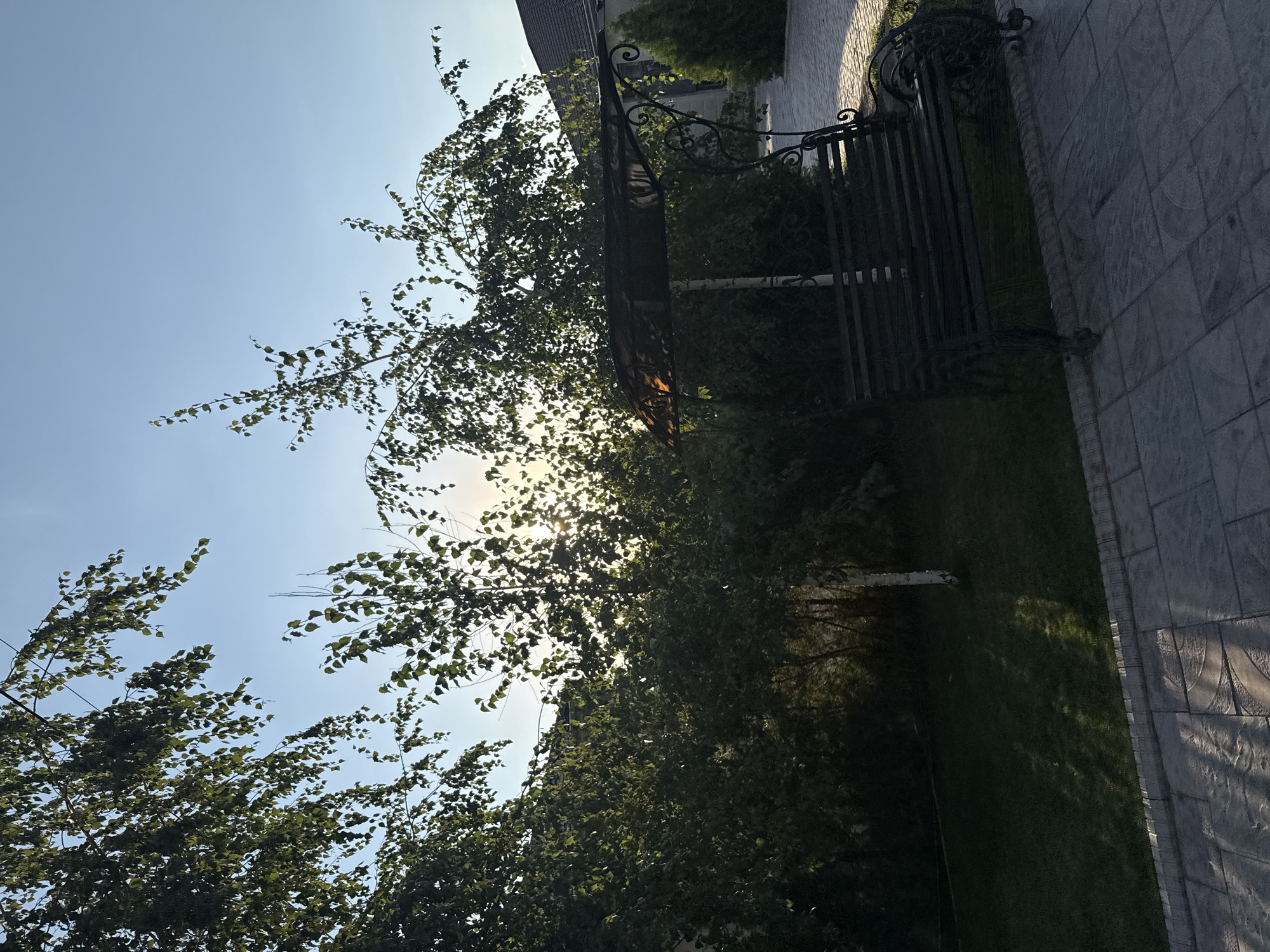 An outdoor scene at dusk, featuring a dark wrought-iron swing set with a canopy, situated on a paved patio. The swing set is positioned in front of dense green foliage and a birch tree. Sunlight filters through the leaves, creating dappled light on the grass and patio. The sky is clear and blue with a hint of sunset colors. To the right of the swing, a paved pathway leads towards a building with a dark roof. The overall impression is one of a tranquil backyard setting in Sary-Oy, Kyrgyzstan.