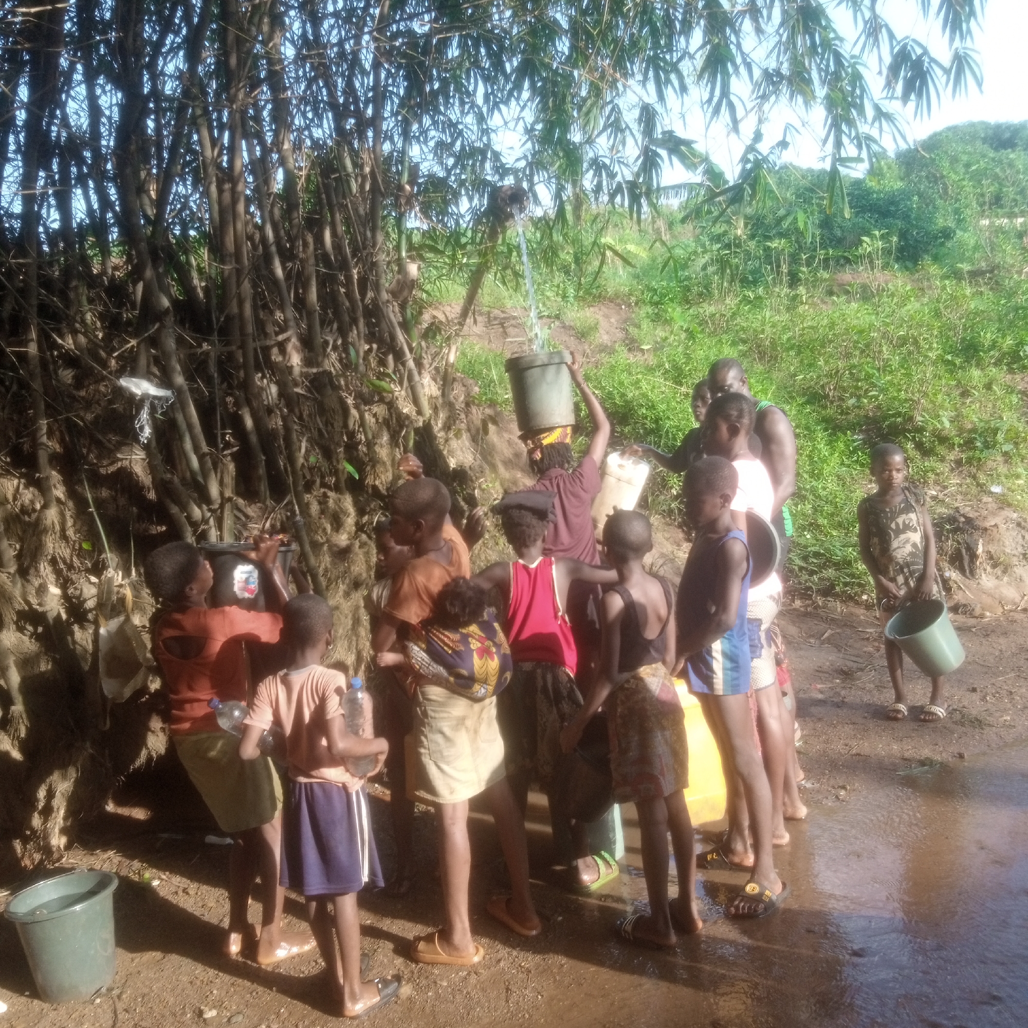 Memory
