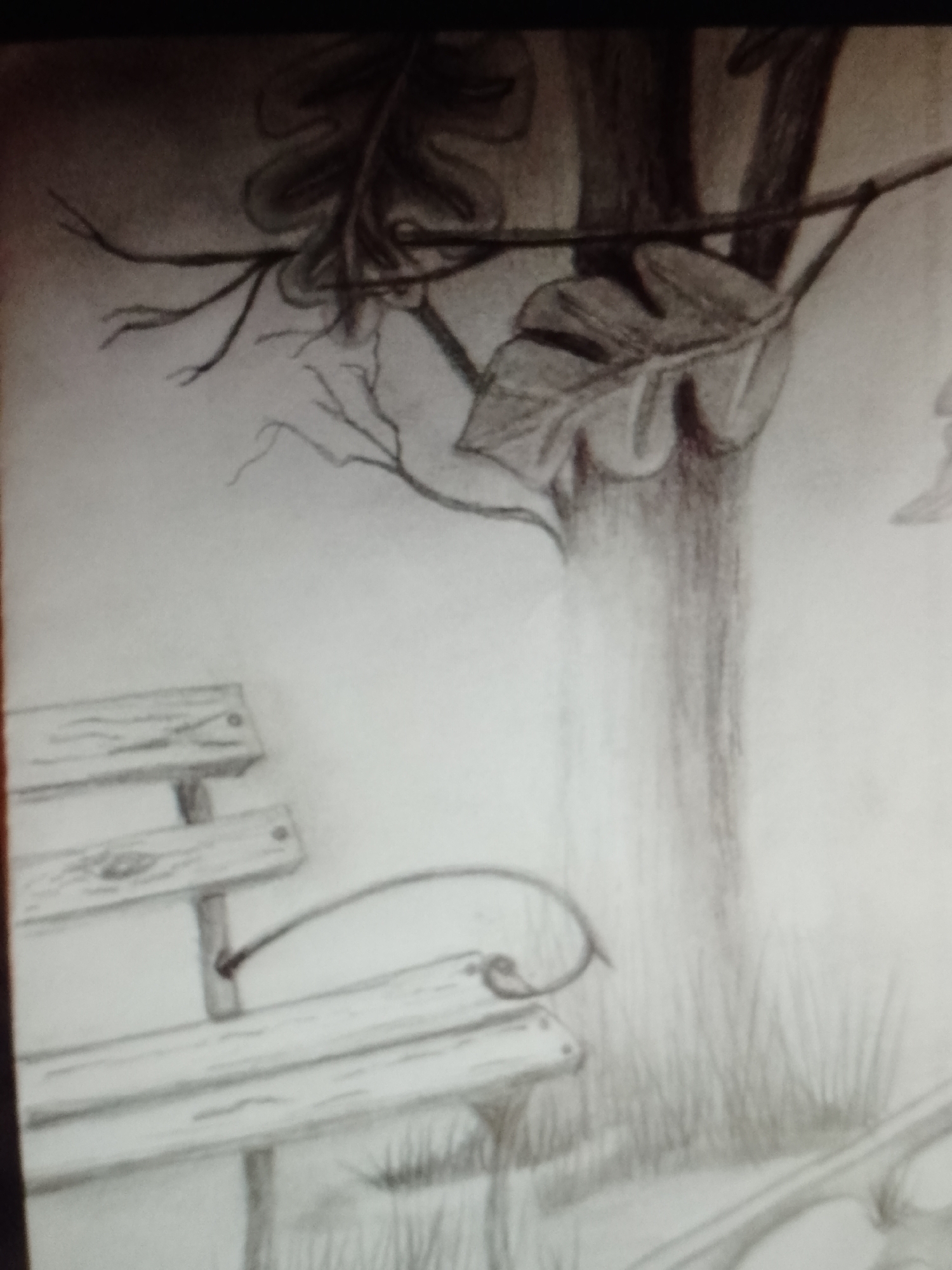 The image is a black and white pencil drawing of a park scene. In the foreground is a wooden park bench with a curved armrest on the right side. Behind the bench, there is an area of grass. A tree trunk is to the right of the bench. A branch with leaves extends from the tree towards the left side of the drawing, above the bench. The background is a lightly shaded area, suggesting a sky or indistinct foliage.