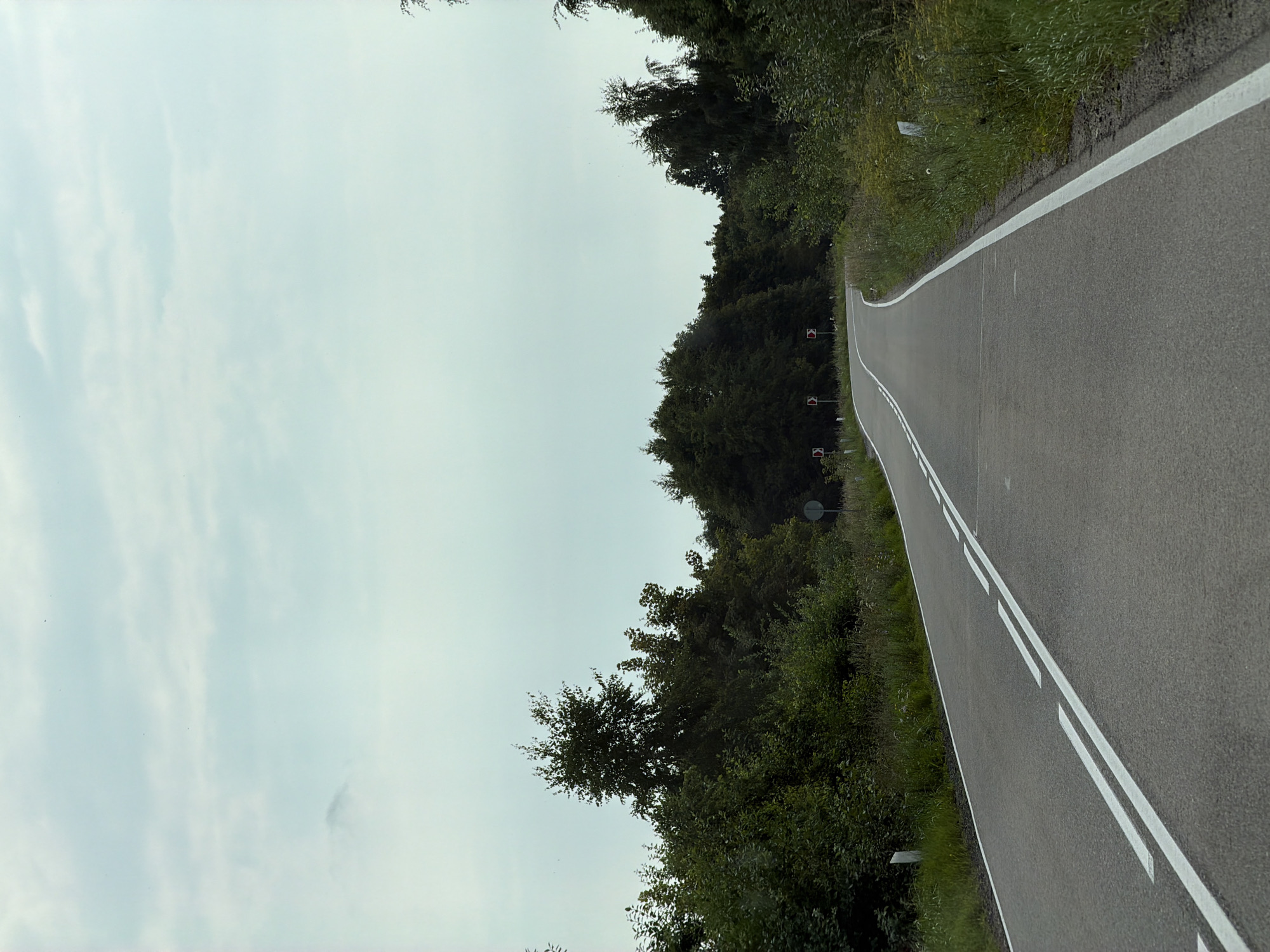 The image depicts a paved road winding through a dense forest. The sky is overcast with a pale, cloudy atmosphere. The road has a double white line marking its center and a white line along its right edge. On the left side of the road, there are white markers. Several traffic signs indicating sharp curves are visible on the left side of the road. The forest bordering the road is characterized by lush green trees and vegetation. The overall scene suggests a rural or semi-rural setting.
