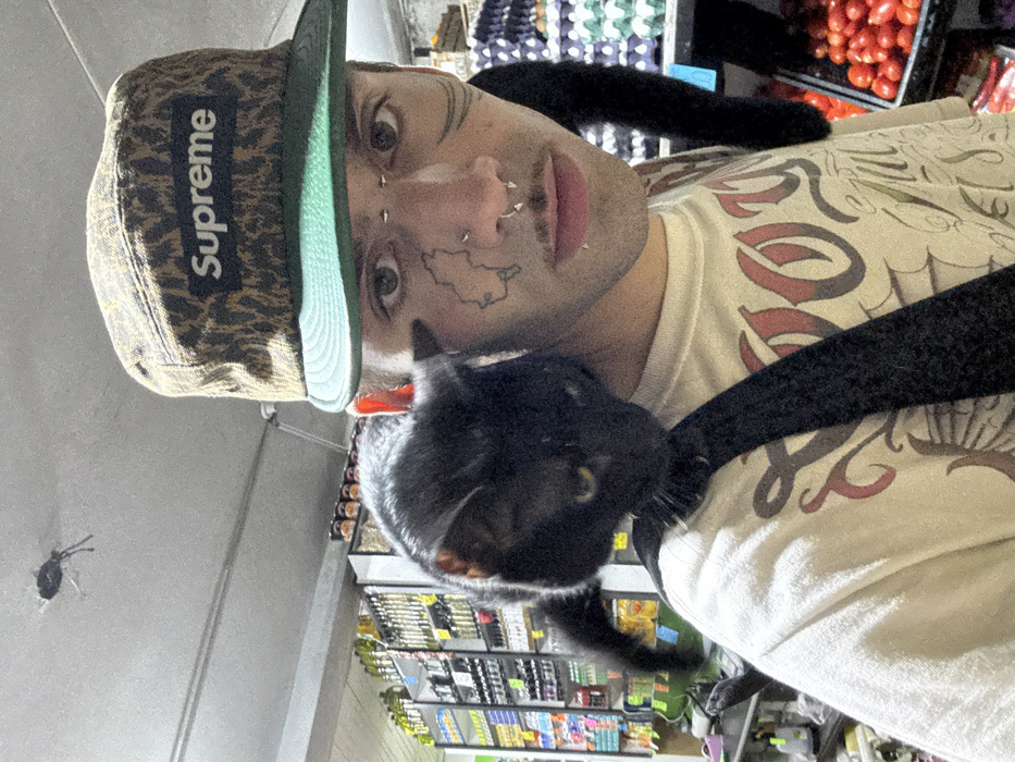 A close-up selfie features a person wearing a Supreme hat and a graphic tee, with a black cat nestled on their shoulder. The person has facial piercings and a tattoo near their eye. The background reveals supermarket shelves stocked with goods, suggesting an indoor environment. A spider is visible on the ceiling.