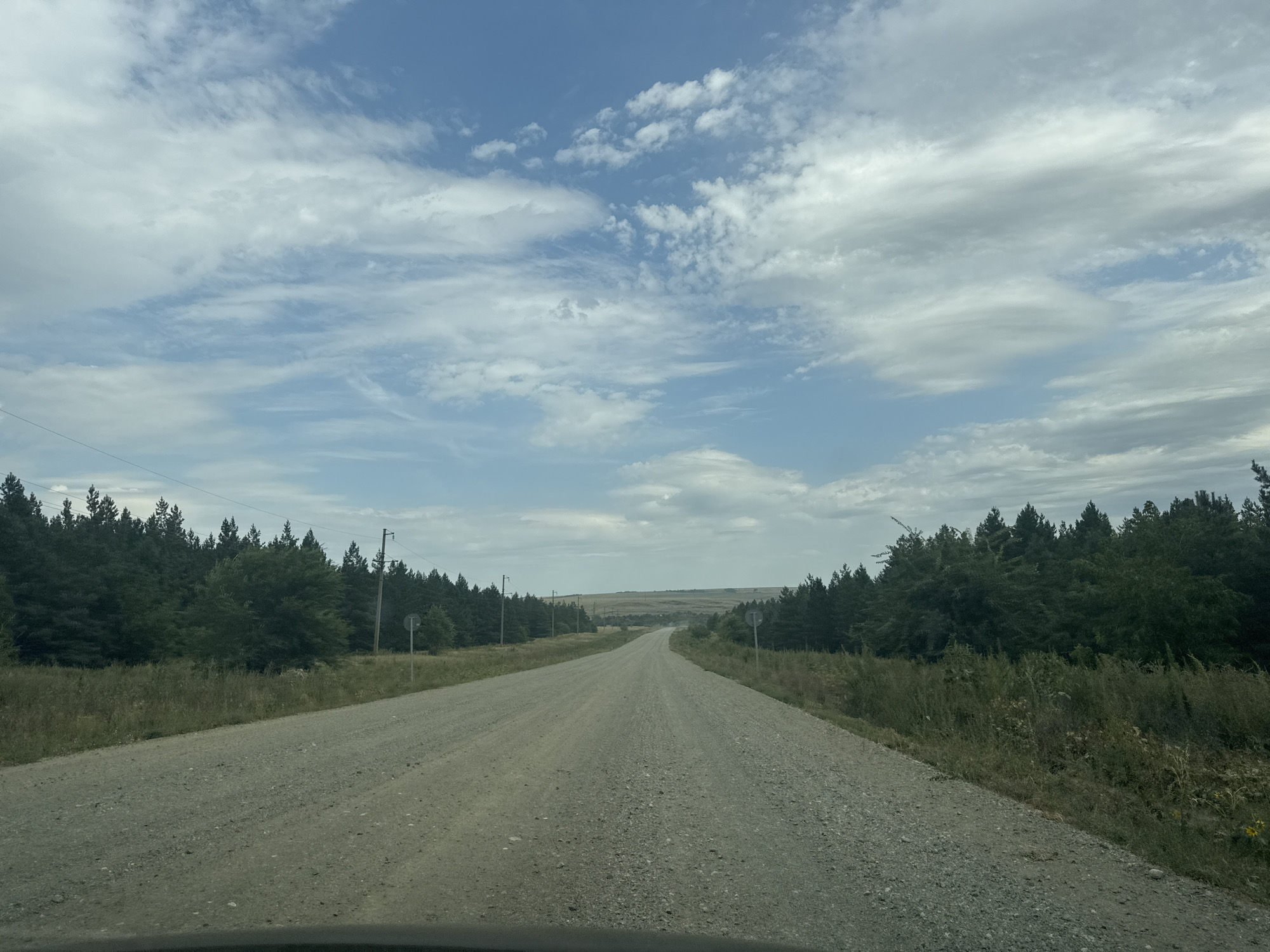 The image depicts a straight, unpaved road winding through a rural landscape in Vasilievka, Russia. The road is flanked by dense evergreen trees on both sides, with tall grasses and scattered vegetation growing along the roadside. In the distance, the road curves slightly and disappears over a gentle incline, suggesting a flat or rolling terrain beyond. Overhead, a sky filled with scattered white clouds against a pale blue backdrop indicates fair weather. Power lines are visible along the road, with utility poles interspersed among the trees. The overall scene conveys a sense of isolation and natural beauty, characteristic of a countryside setting.