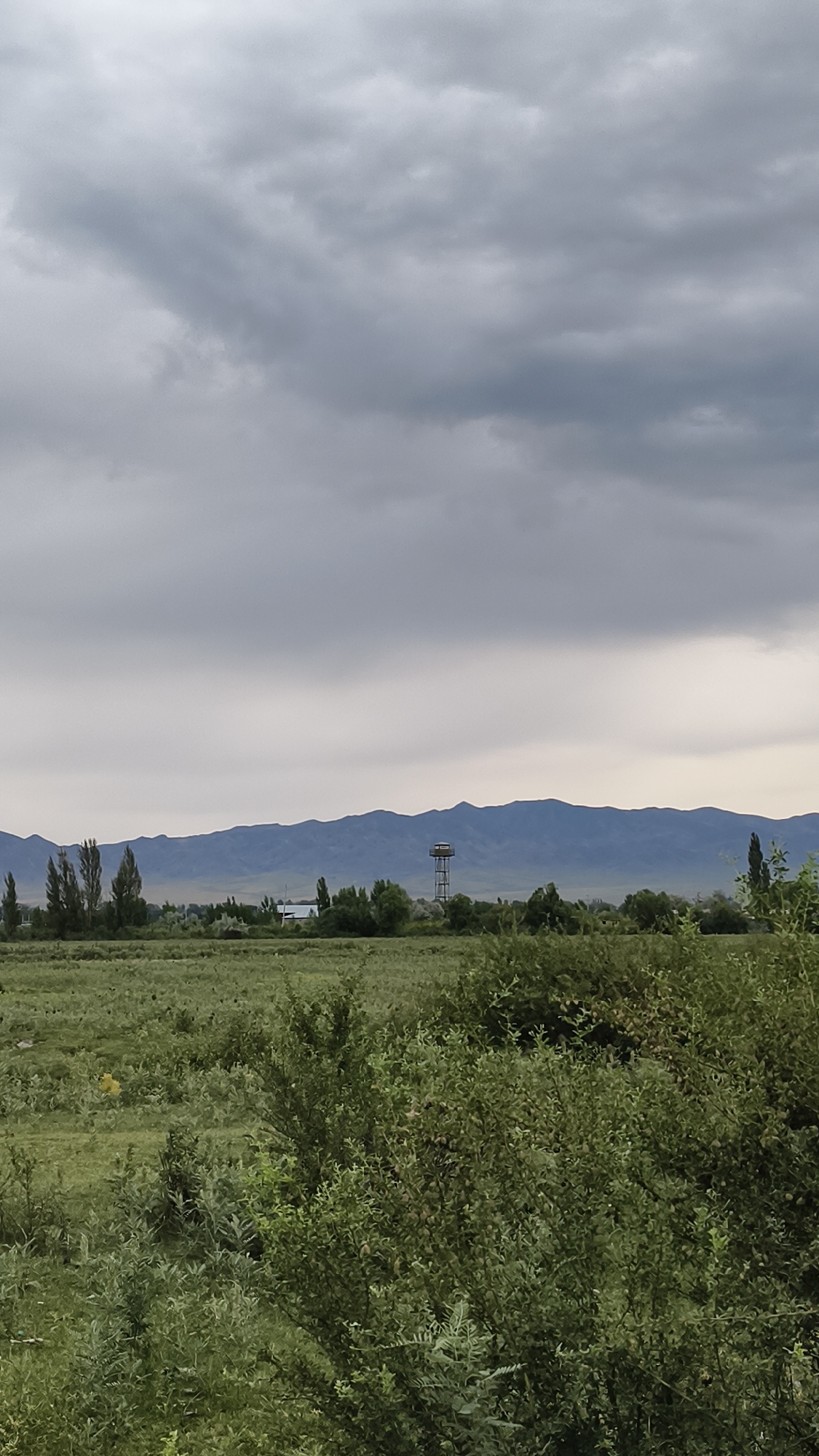 A wide shot captures a rural landscape under an overcast sky, featuring a field of green vegetation in the foreground and middle ground, with a distant mountain range. In the middle ground, a water tower stands on a metal frame, with some buildings and trees visible behind it. The foreground is dominated by dense, green bushes and grasses. The scene is static, with no people or animals present. The weather appears to be cloudy, with a muted light. The overall impression is one of a serene, undeveloped natural environment. The location is the city of Novo-Donetskoye, Kyrgyzstan.