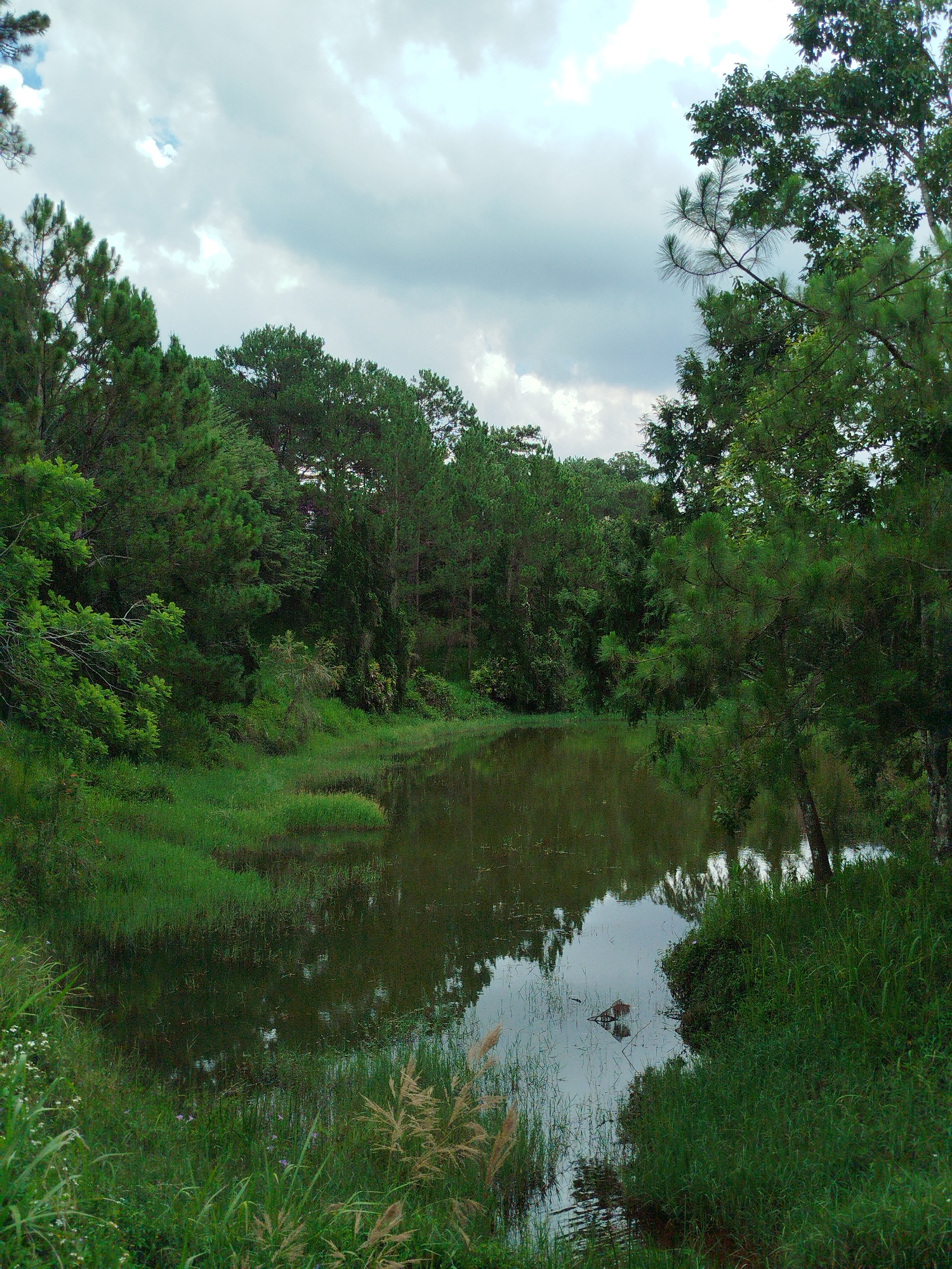 The image depicts a body of water surrounded by dense vegetation in Cam Ly - Da Lat, Vietnam. Trees with dense green foliage line the banks of the water, and grasses grow along the water's edge. The water reflects the sky and surrounding trees. The sky above is overcast with grey clouds. There are no people visible in the image.
